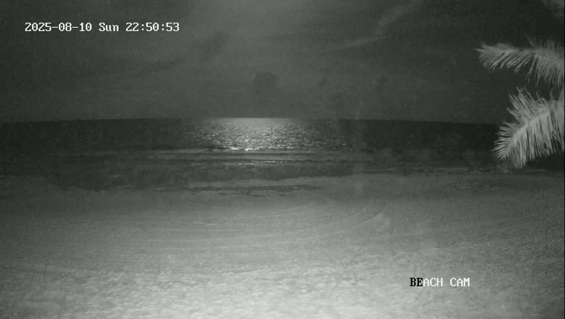 Yucatan, Playa de Tulum Beach Live Cam - Tulum,  Quintana Roo, Mexico