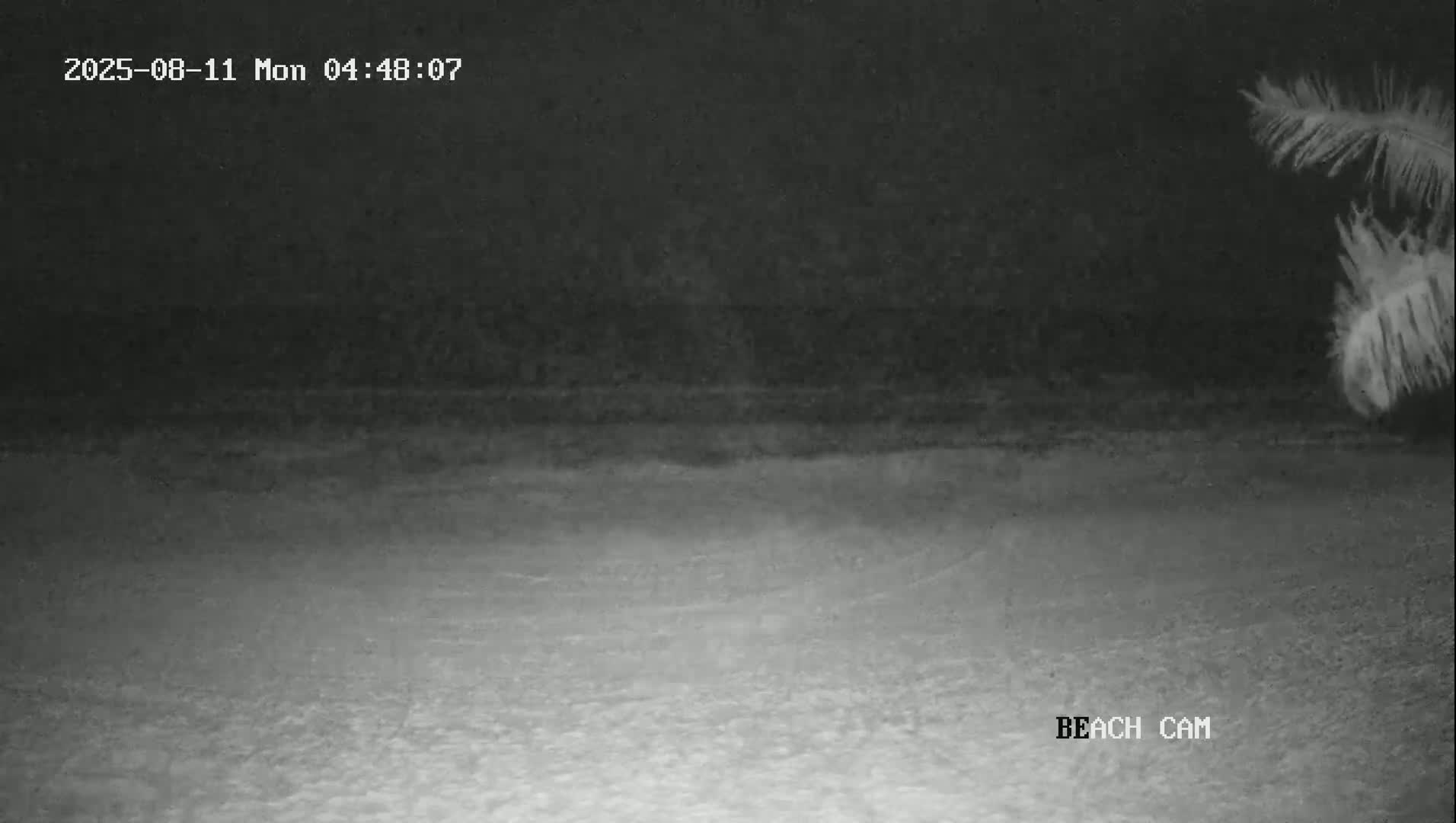Yucatan, Playa de Tulum Beach Live Cam - Tulum,  Quintana Roo, Mexico