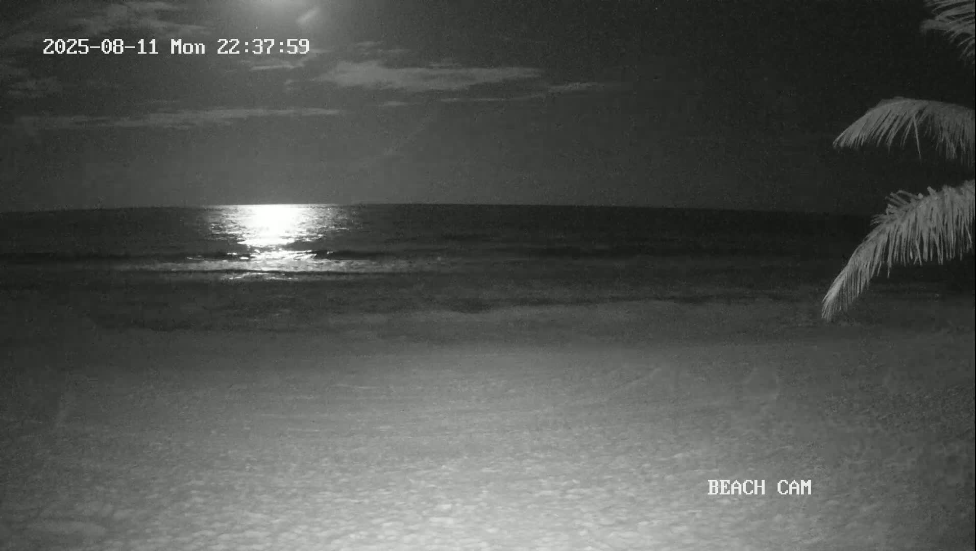 Yucatan, Playa de Tulum Beach Live Cam - Tulum,  Quintana Roo, Mexico