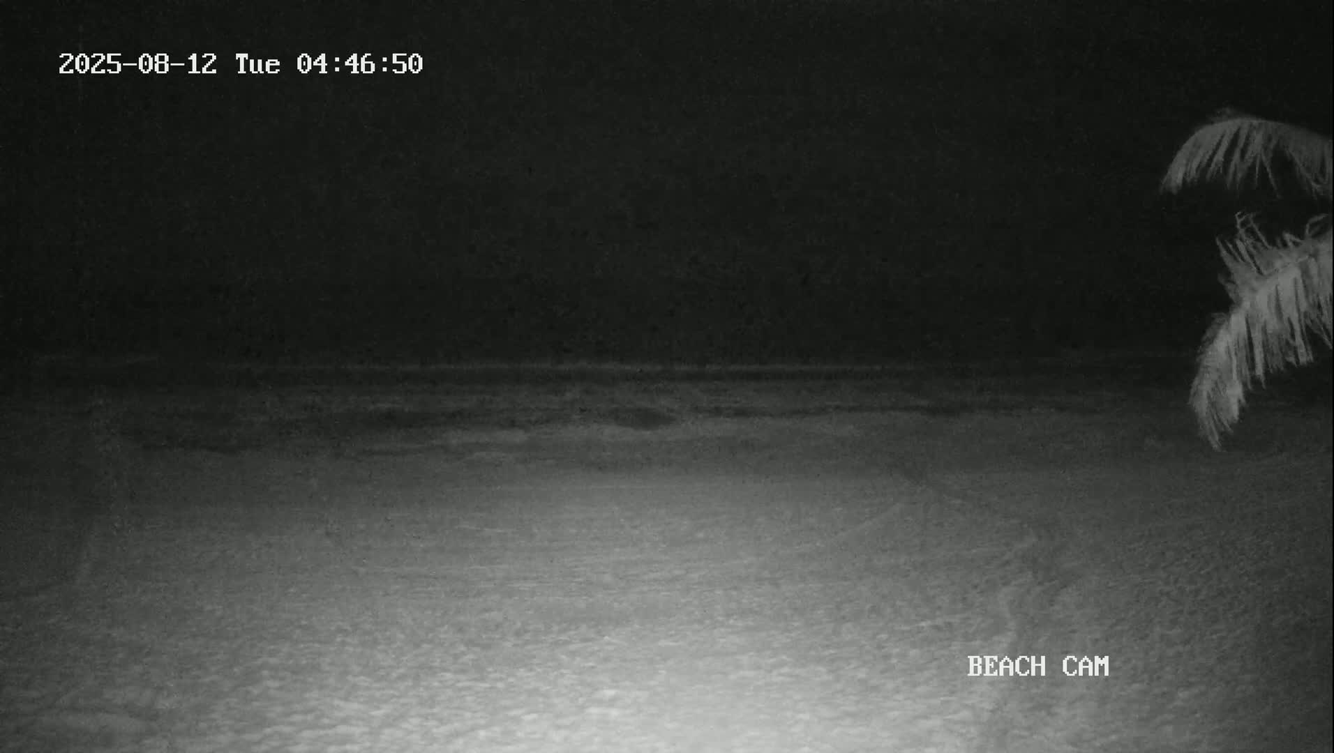 Yucatan, Playa de Tulum Beach Live Cam - Tulum,  Quintana Roo, Mexico