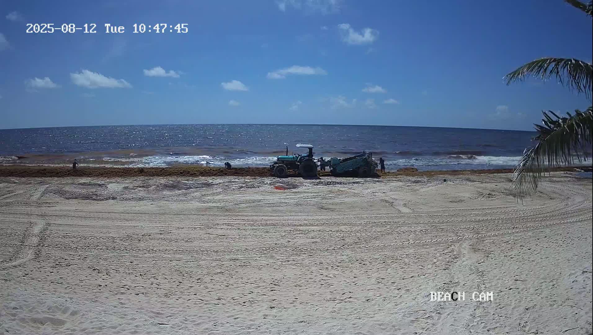 Yucatan, Playa de Tulum Beach Live Cam - Tulum,  Quintana Roo, Mexico