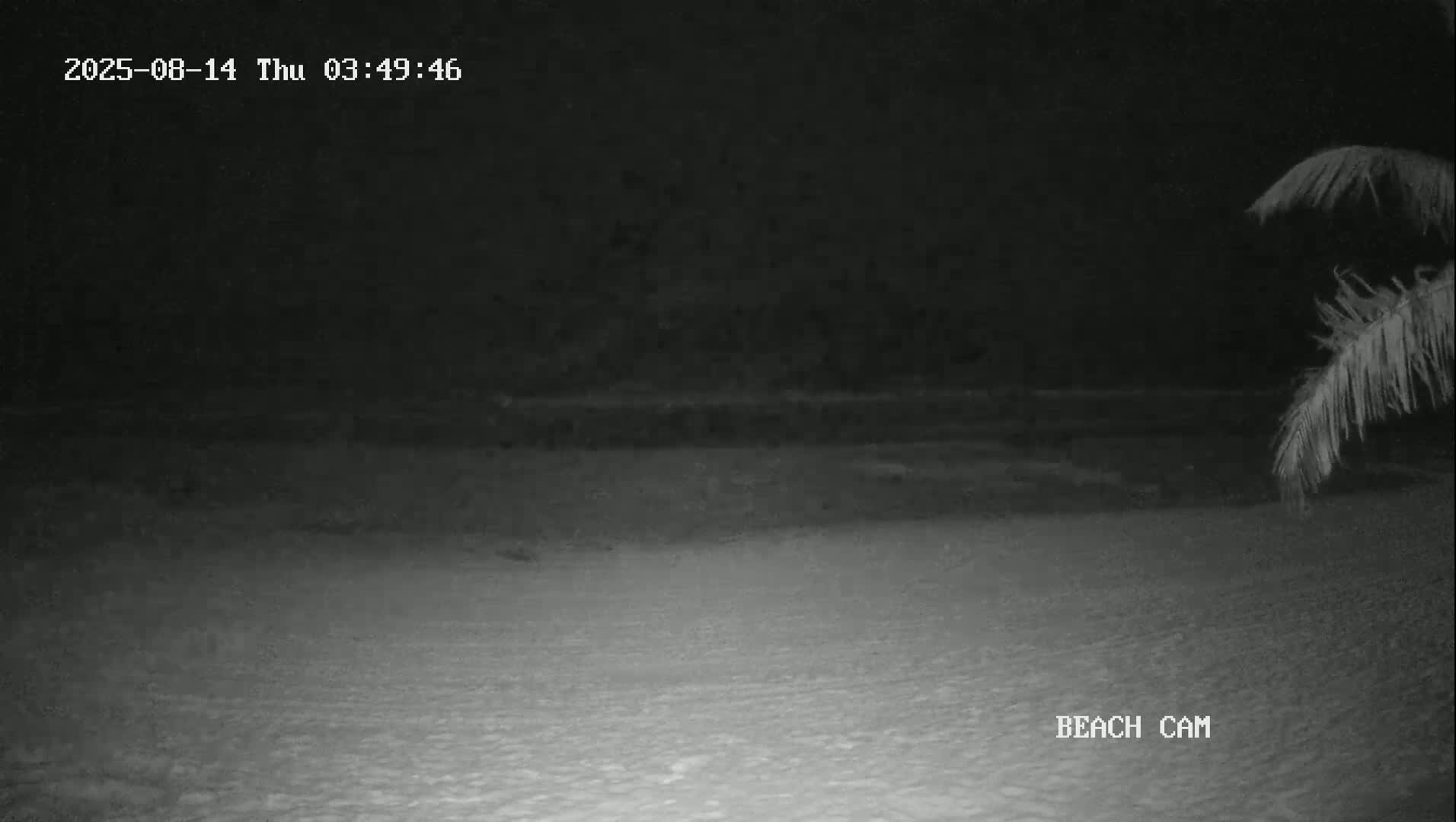 Yucatan, Playa de Tulum Beach Live Cam - Tulum,  Quintana Roo, Mexico
