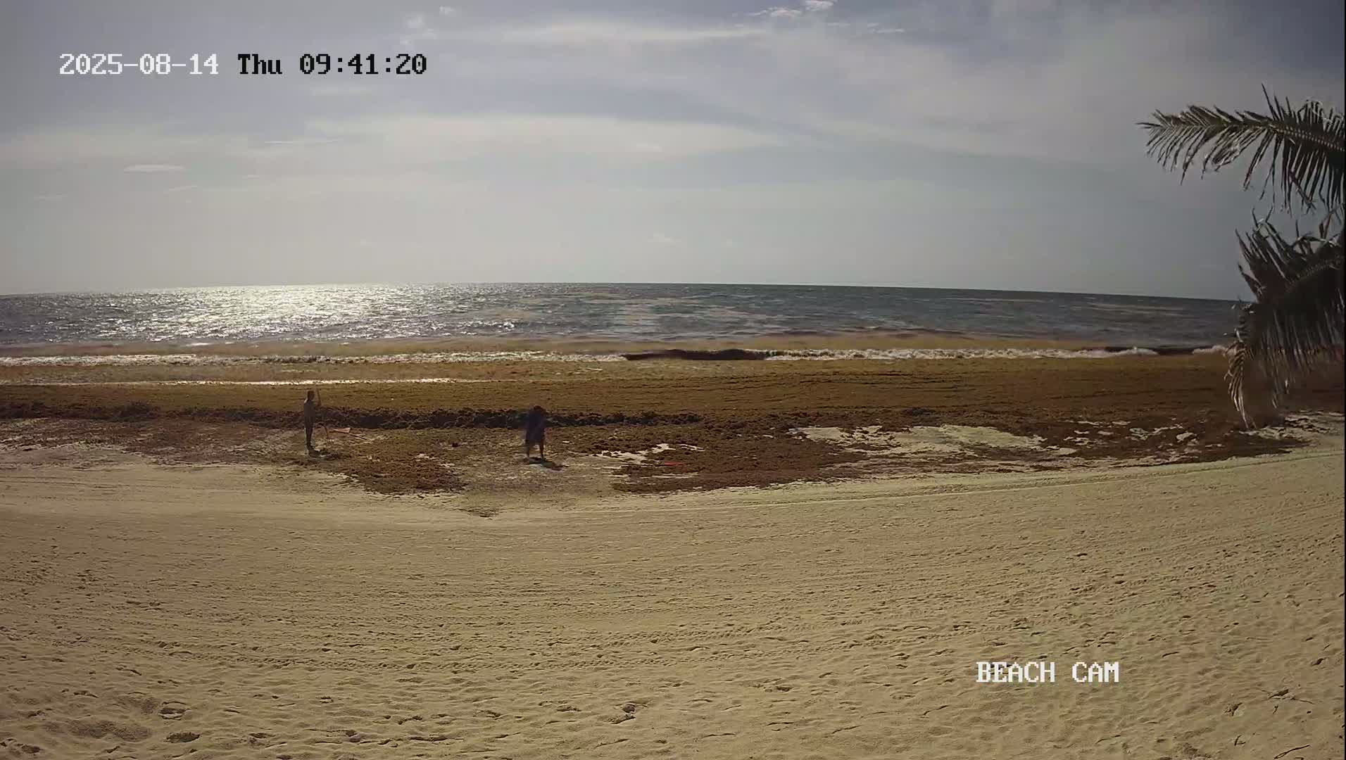 Yucatan, Playa de Tulum Beach Live Cam - Tulum,  Quintana Roo, Mexico