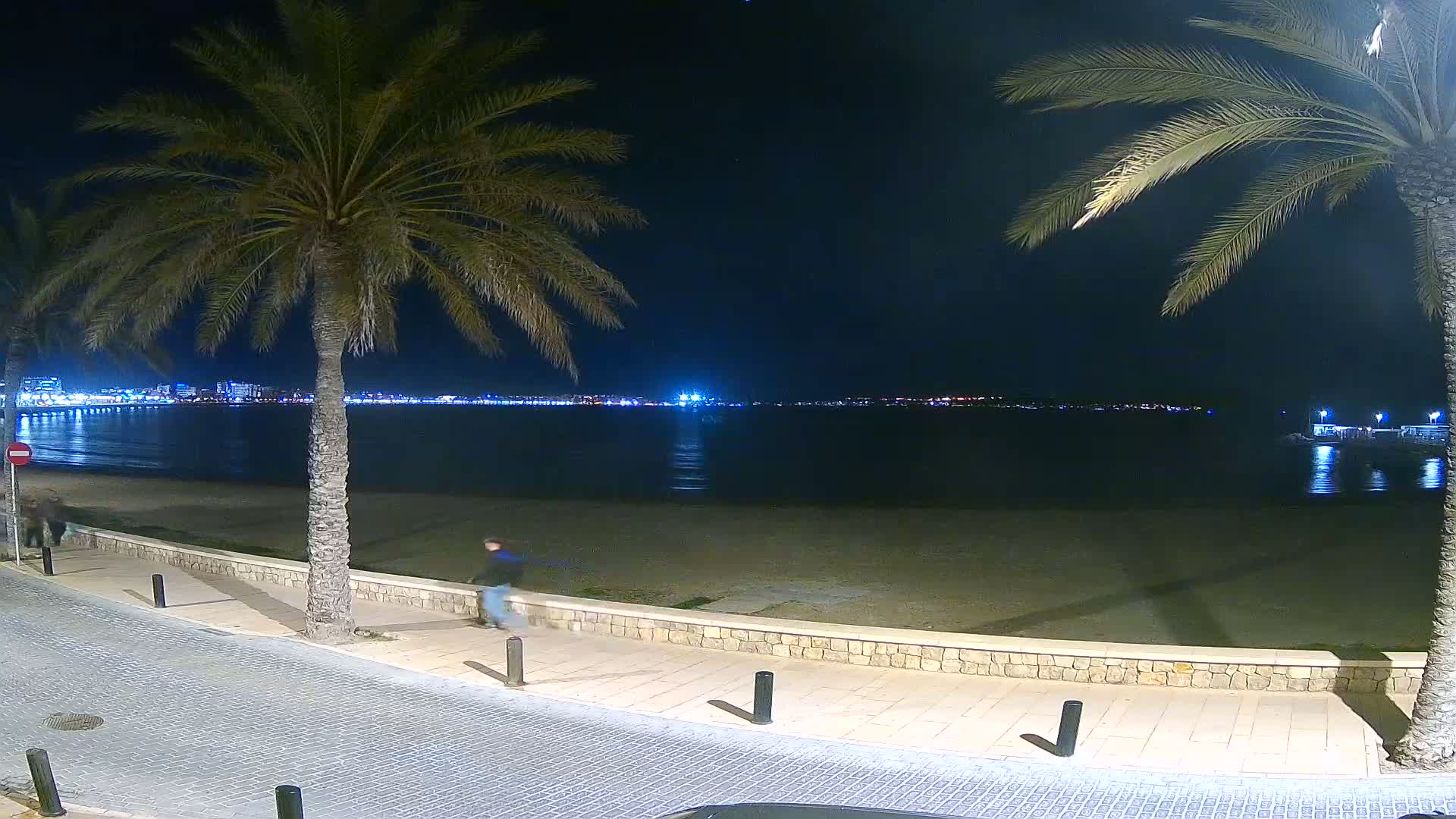 A nighttime view of a beach with palm trees, a paved walkway, and a person walking along the shore, overlooking a calm body of water and a city skyline in the distance.