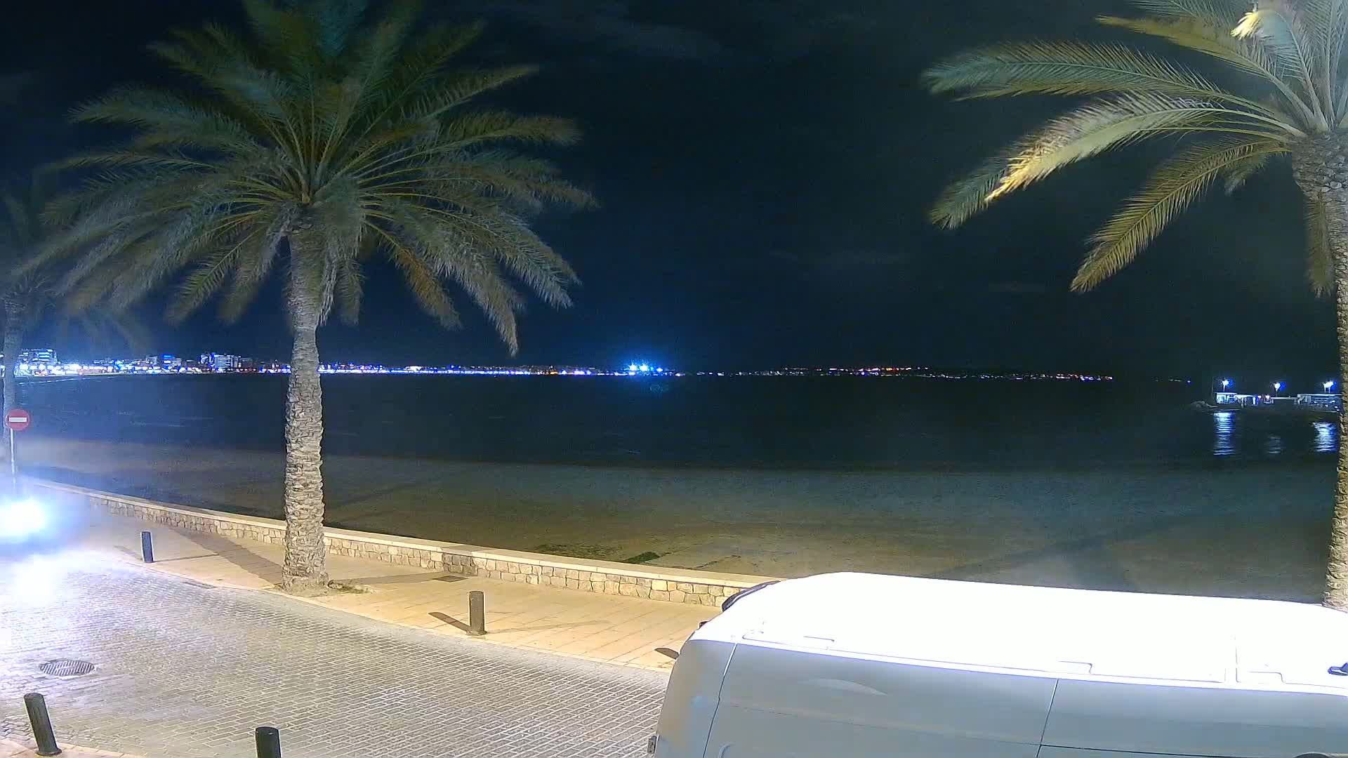 A nighttime beach scene shows a calm body of water with a city skyline in the distance, flanked by two palm trees on a paved walkway, with a white van partially visible in the foreground.