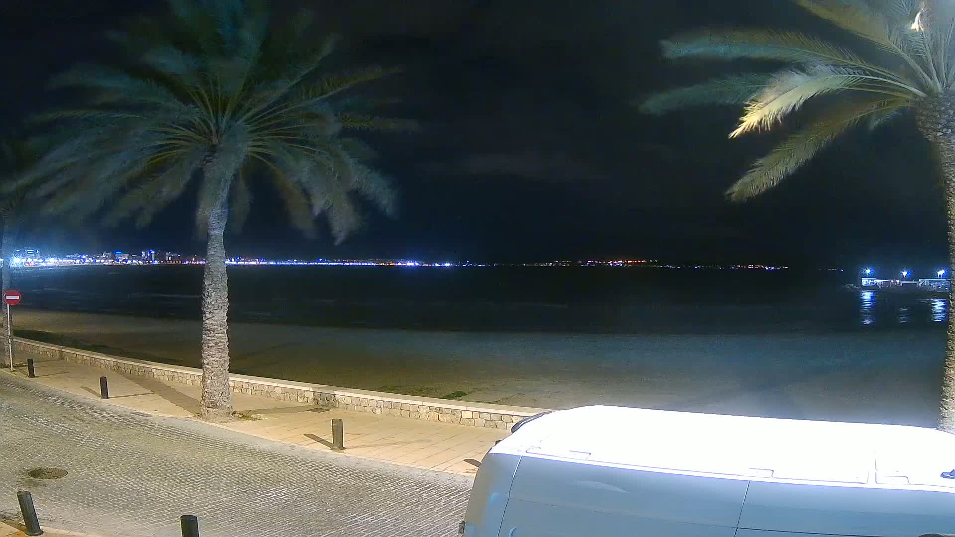A nighttime view of a sandy beach with palm trees, a calm sea, and a distant city skyline illuminated by lights.