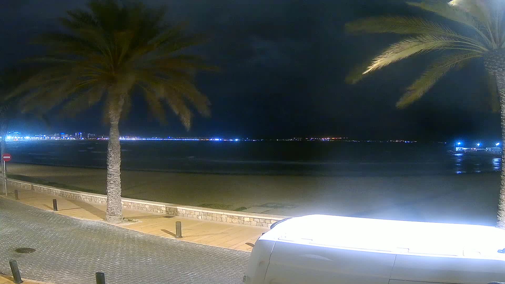 A nighttime view of a calm beach with palm trees, a paved walkway, and a city skyline illuminated across the water.