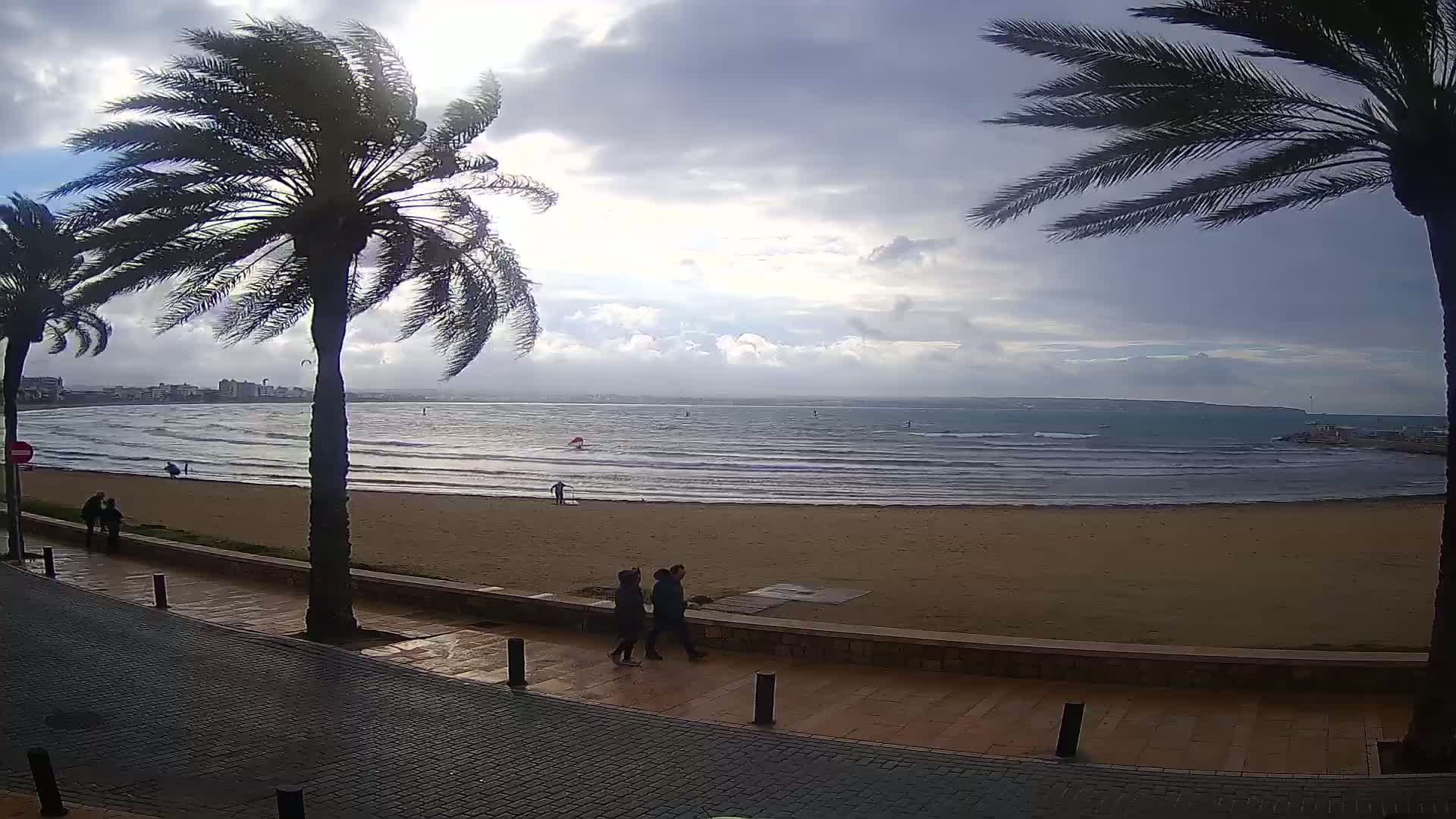 A windy day at a sandy beach with palm trees lining a paved walkway, showing a few people walking on the beach and in the water.