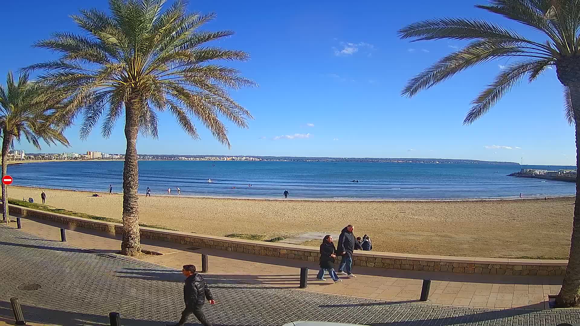 A sandy beach with calm, blue water is seen from a paved walkway lined with palm trees on a sunny day.