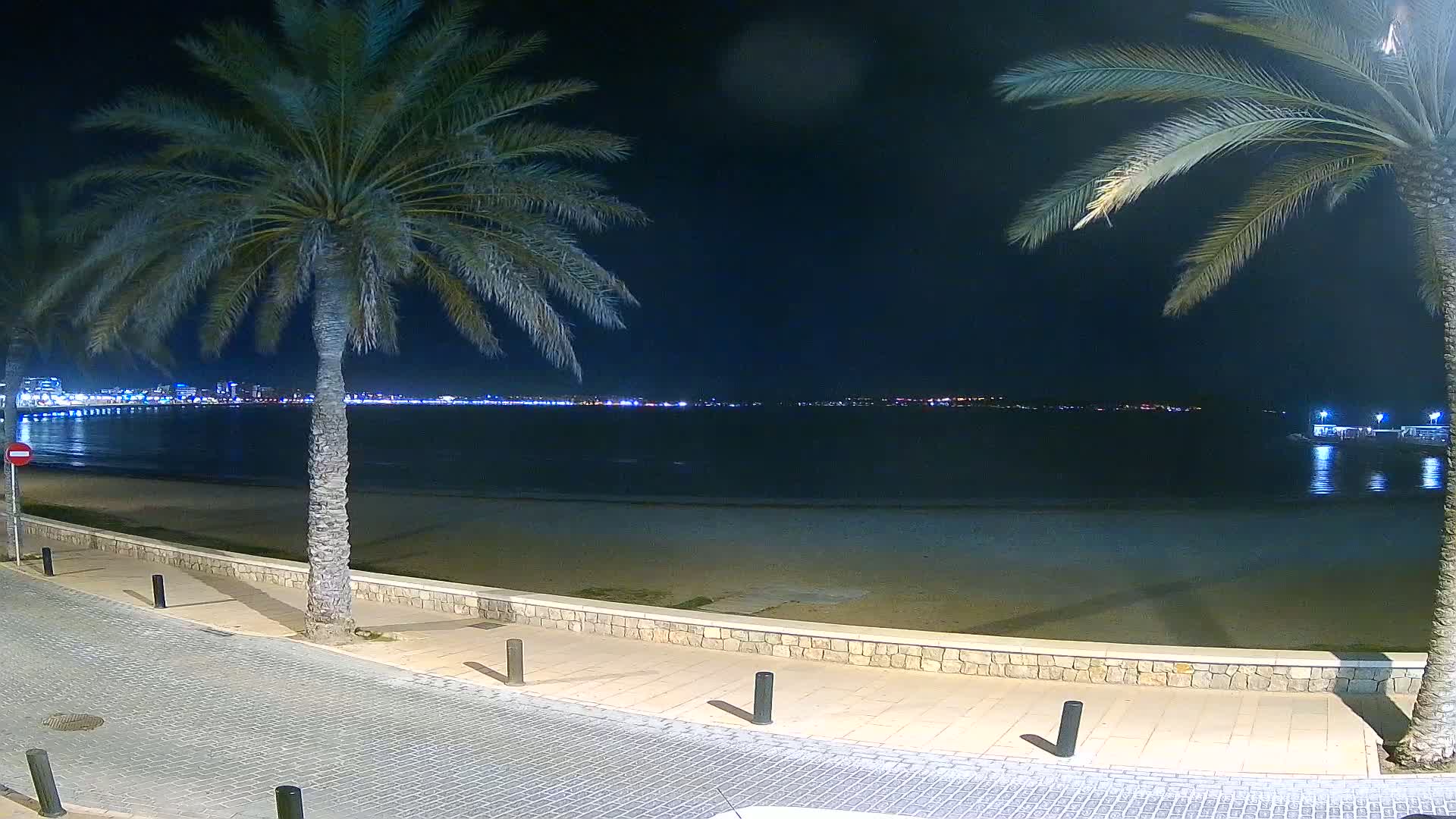 A nighttime view of a sandy beach, palm trees, and a city skyline across the water.