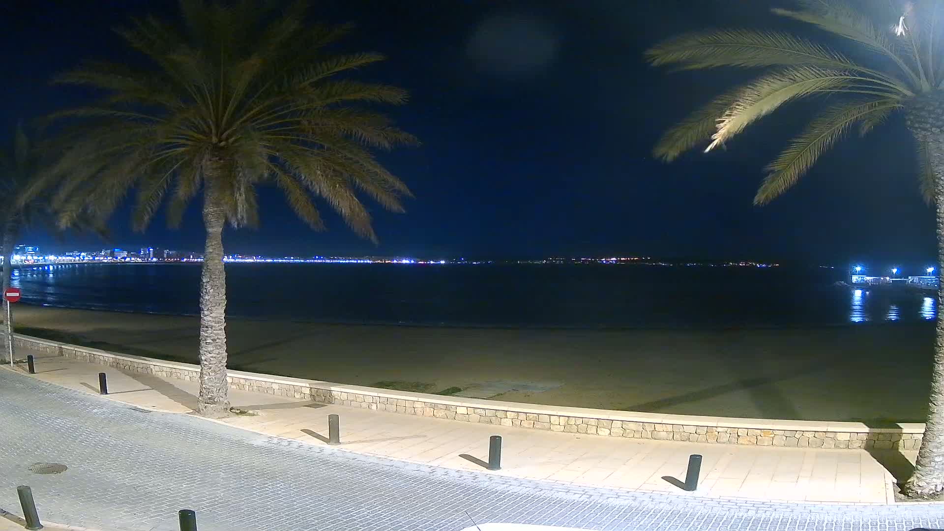A nighttime view of a sandy beach and calm ocean, under a clear dark sky, with palm trees lining a paved walkway and a distant city skyline illuminated with lights.