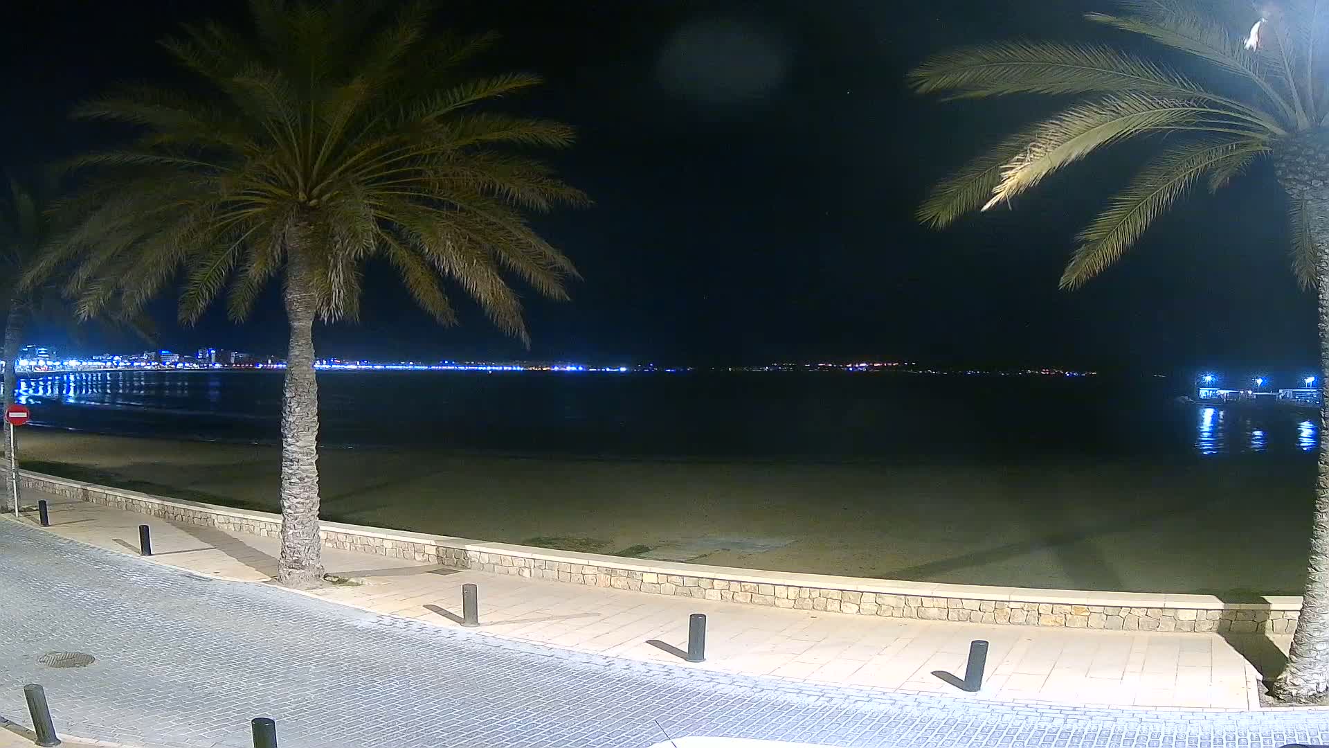 A nighttime view of a sandy beach with palm trees lining a paved walkway, overlooking a calm body of water and a distant city skyline illuminated by lights.