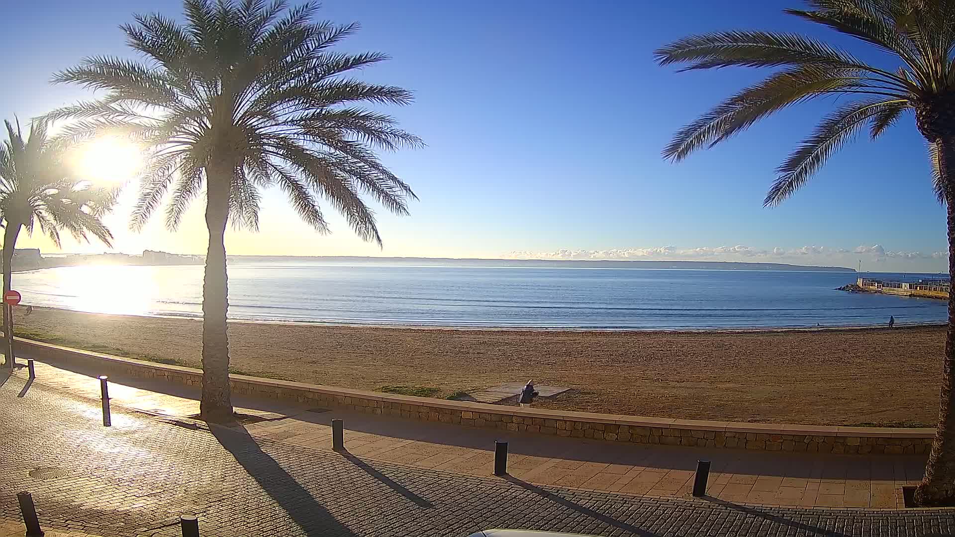 A sandy beach with calm ocean waves stretches out under a clear, sunny sky, framed by palm trees and a paved walkway.