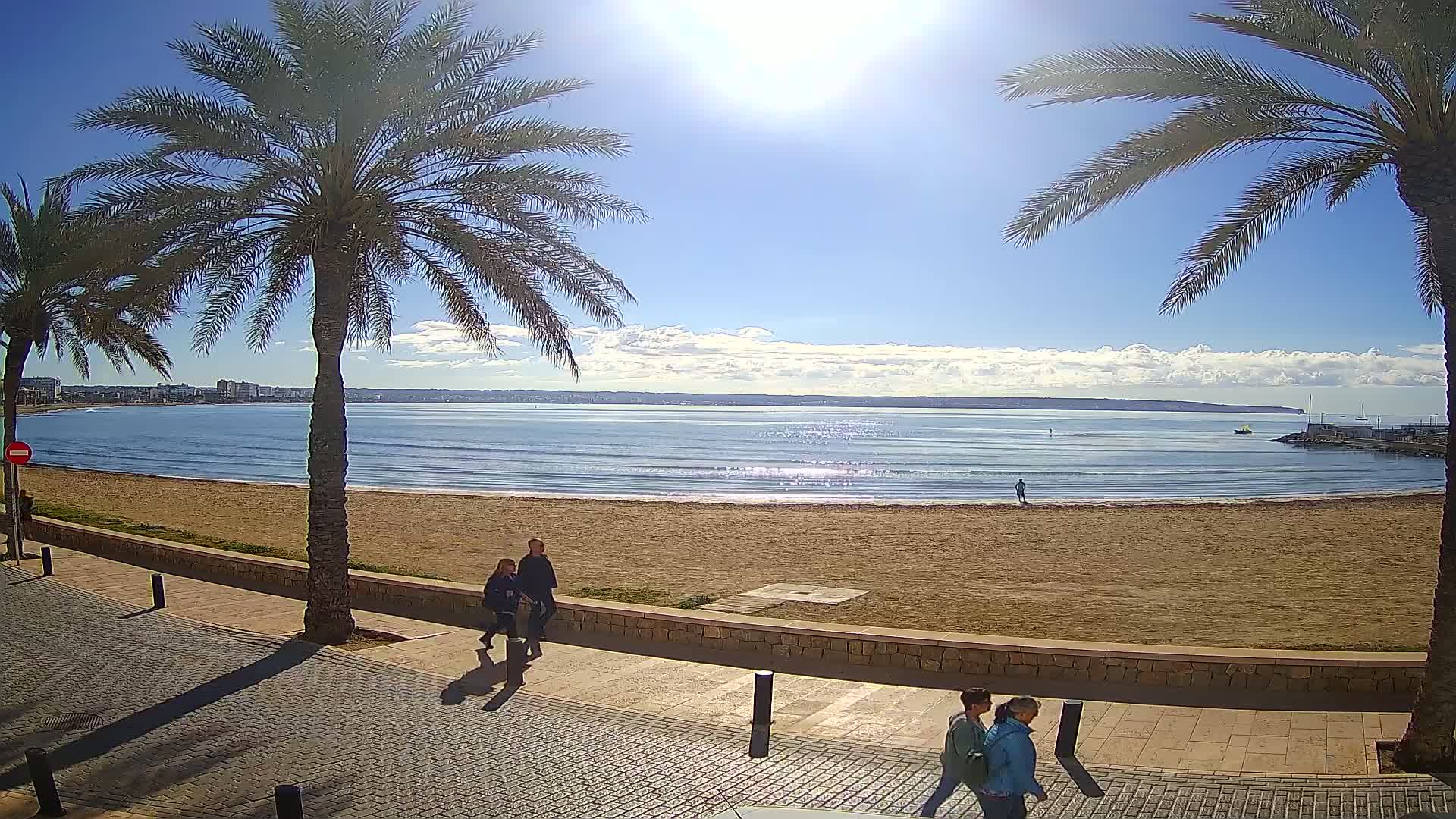 A sunny day at a sandy beach with palm trees lining a paved walkway, people strolling along the shore, and a calm ocean stretching to a distant coastline.