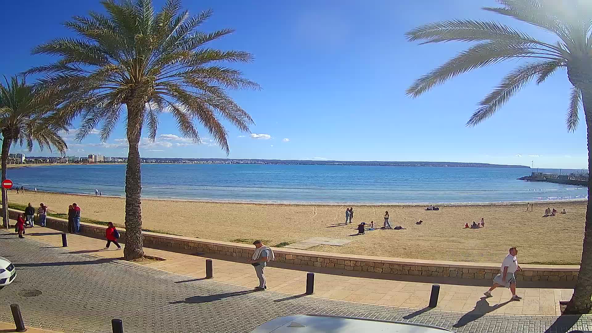 A sandy beach with calm ocean waters under a clear blue sky is bordered by a paved walkway lined with palm trees and a few people walking or relaxing.