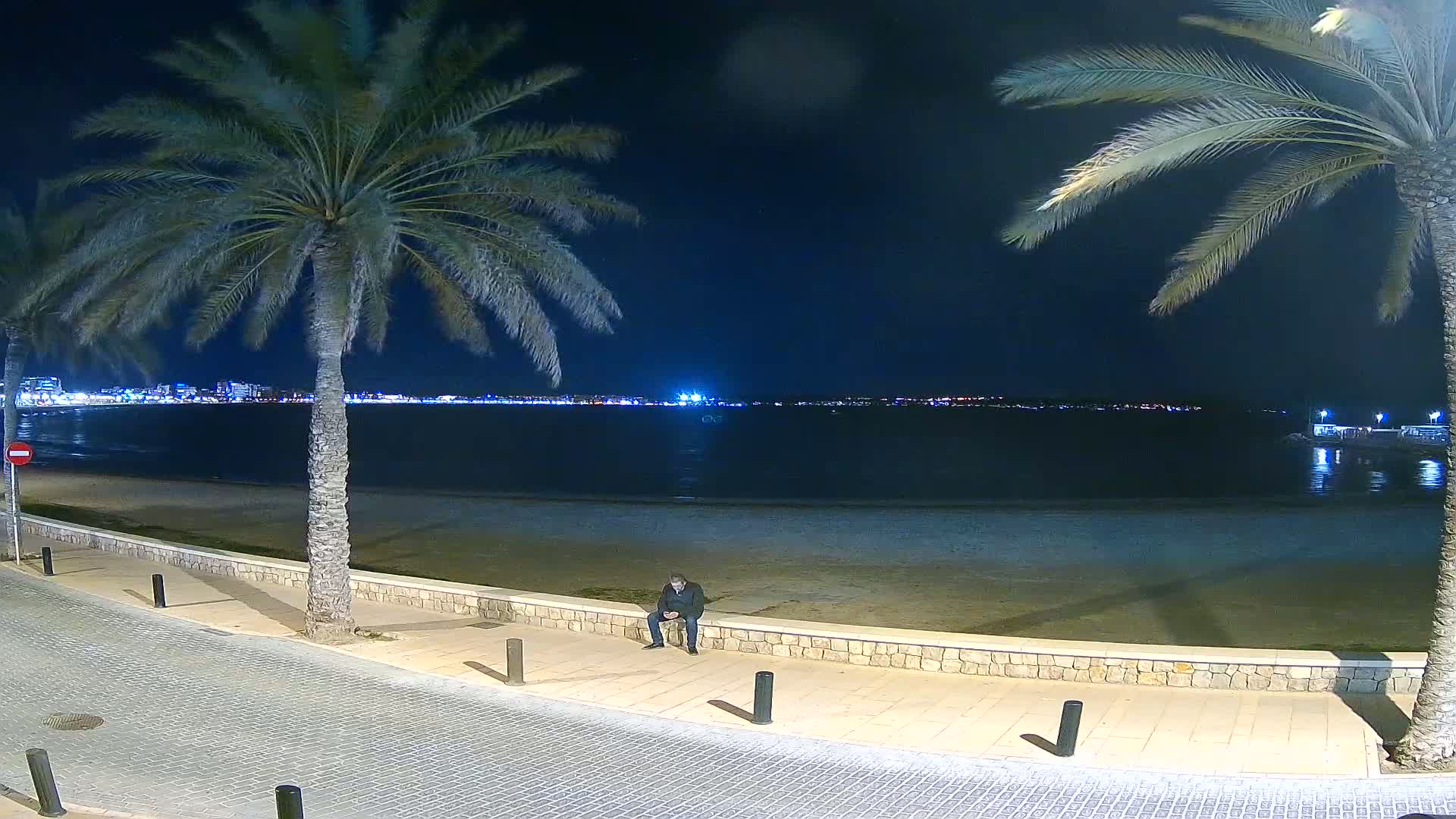 A man sits on a low wall beside a nighttime beach with calm water, palm trees, and city lights across the bay.