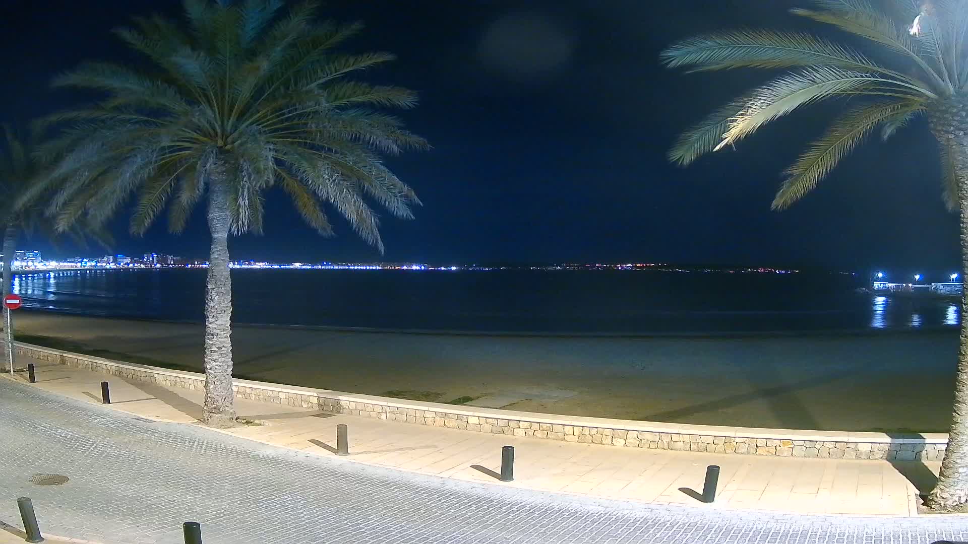 At night, a sandy beach stretches before a calm sea, under a dark sky, with palm trees lining a paved walkway.