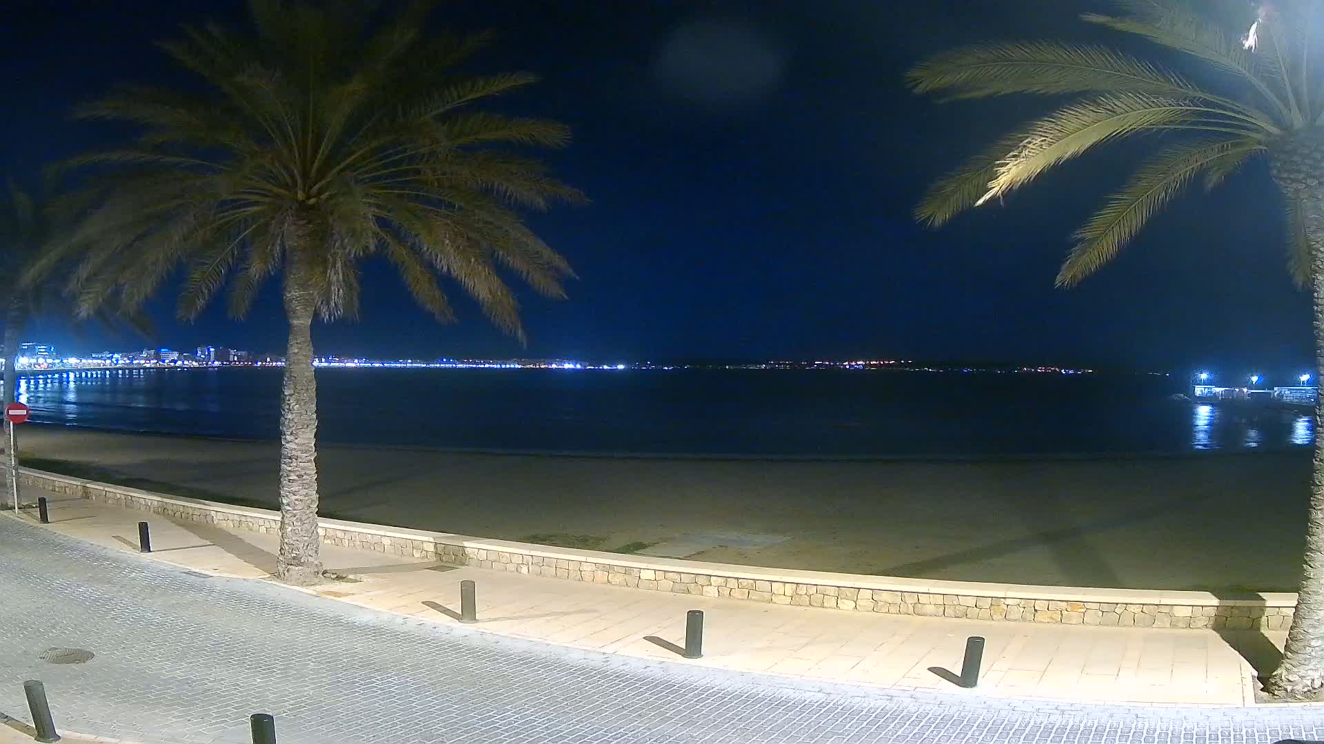 A nighttime view of a sandy beach with palm trees lining a paved walkway, overlooking a calm sea and a city skyline in the distance under a clear, dark sky.