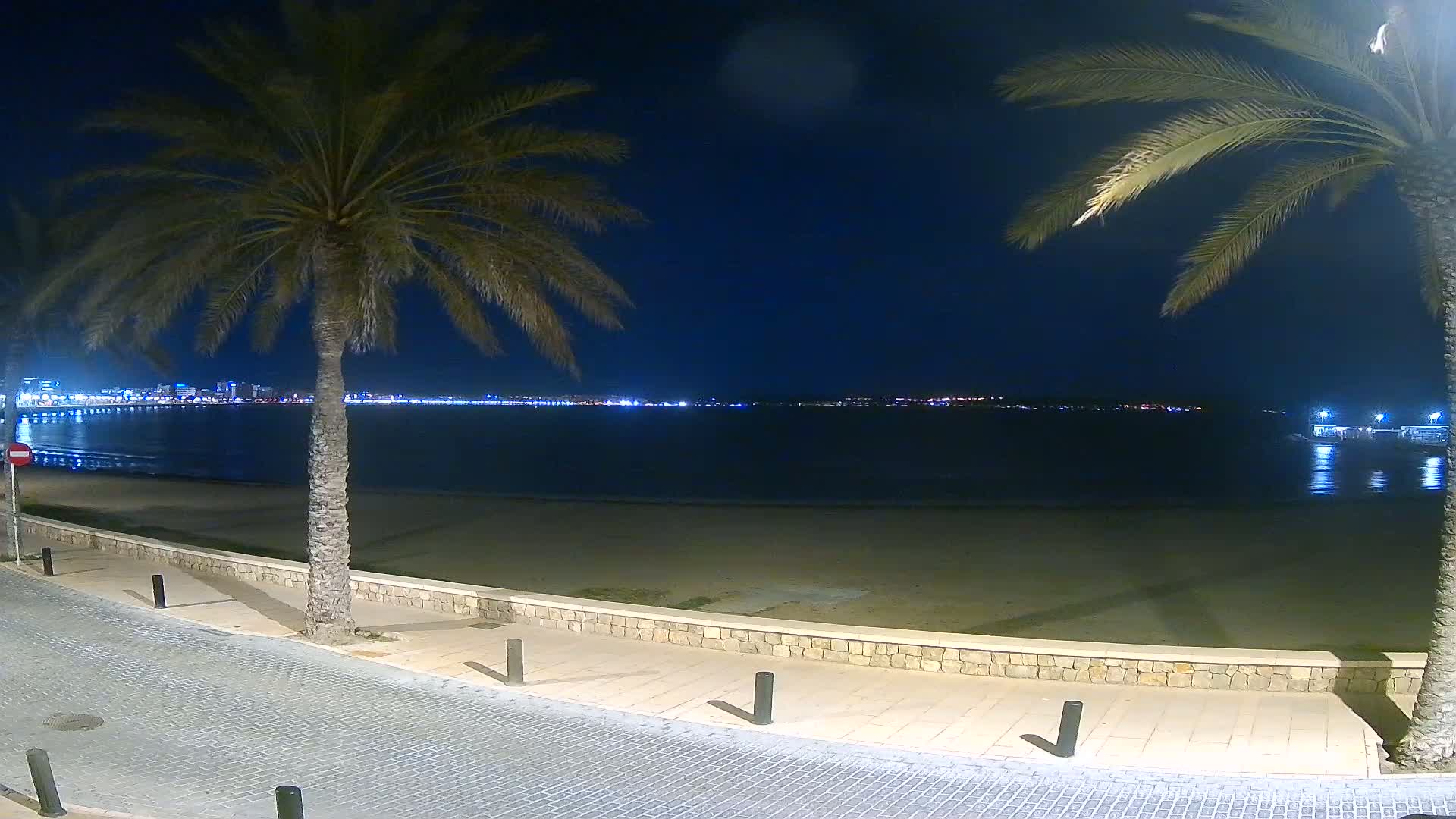 A nighttime view of a sandy beach with palm trees, a calm sea, and a distant city skyline illuminated by lights.