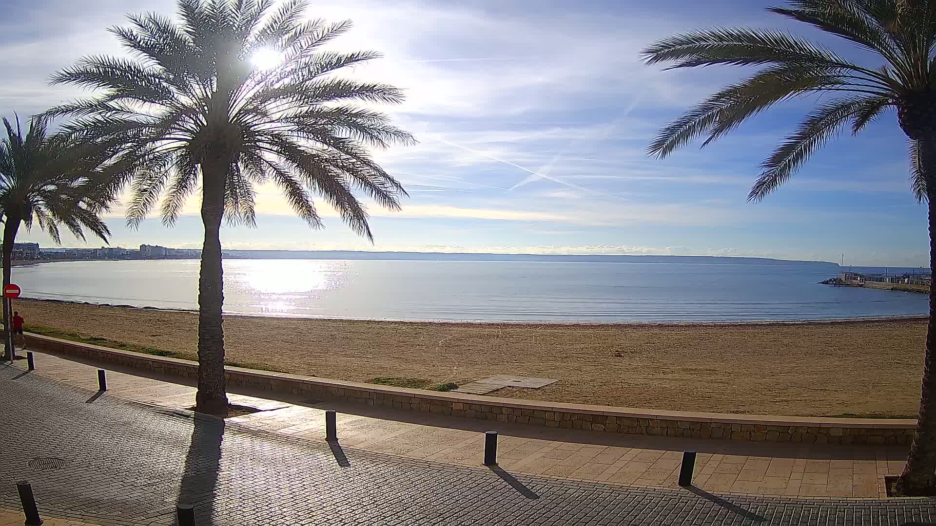 A sunny day at a sandy beach, bordered by a paved walkway and palm trees, overlooks a calm sea.