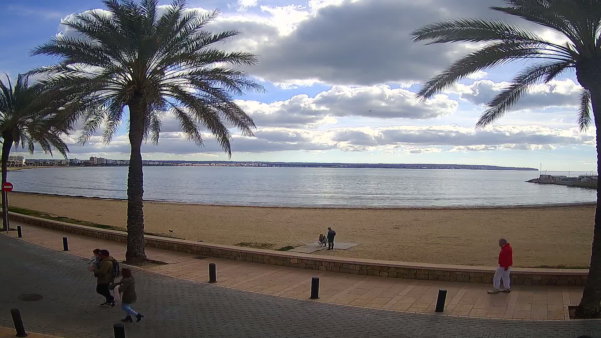 A sandy beach with calm water stretches before a paved walkway lined with palm trees under a partly cloudy sky.