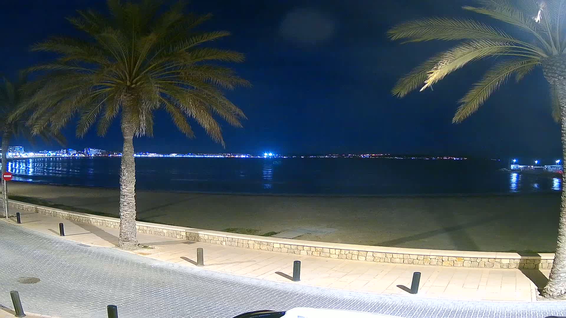 A night-time view of a sandy beach with palm trees lining a paved walkway, overlooking a calm body of water with city lights in the distance.