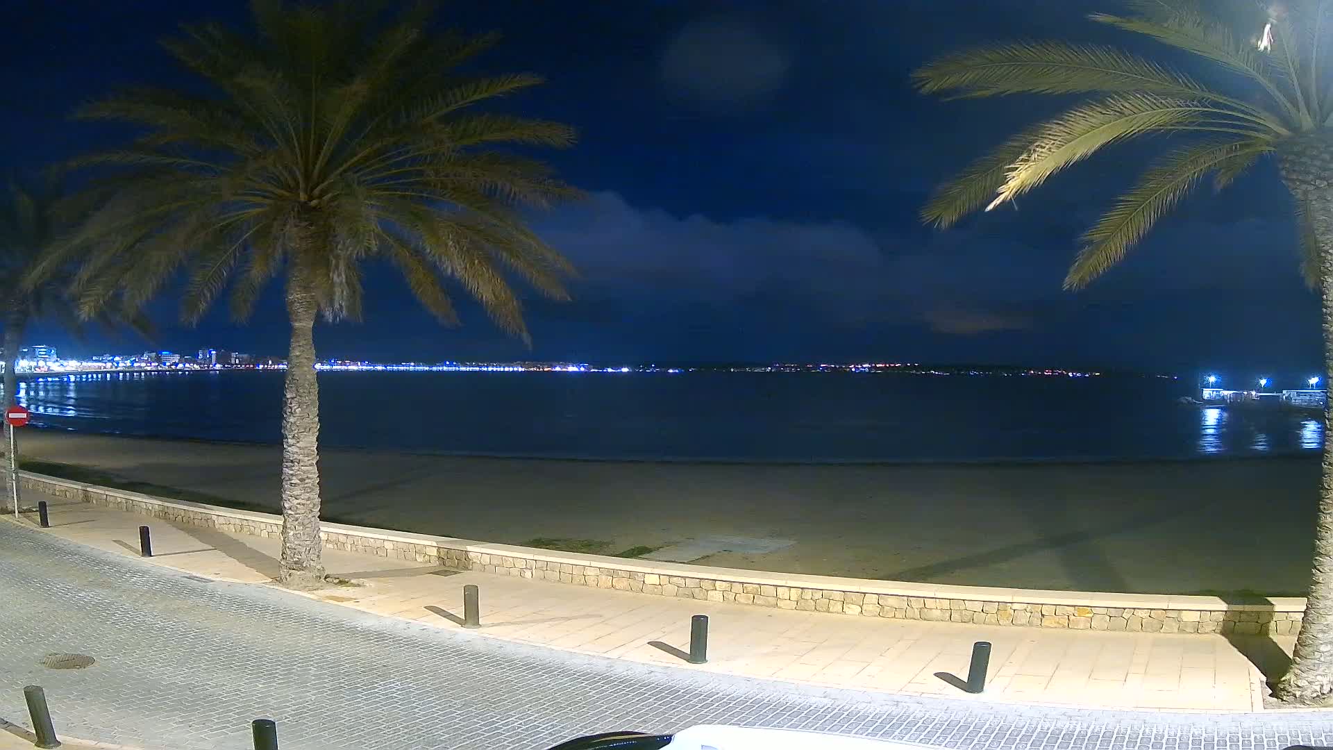 A nighttime view of a sandy beach with palm trees, a calm sea, and a distant city skyline under a mostly clear sky.