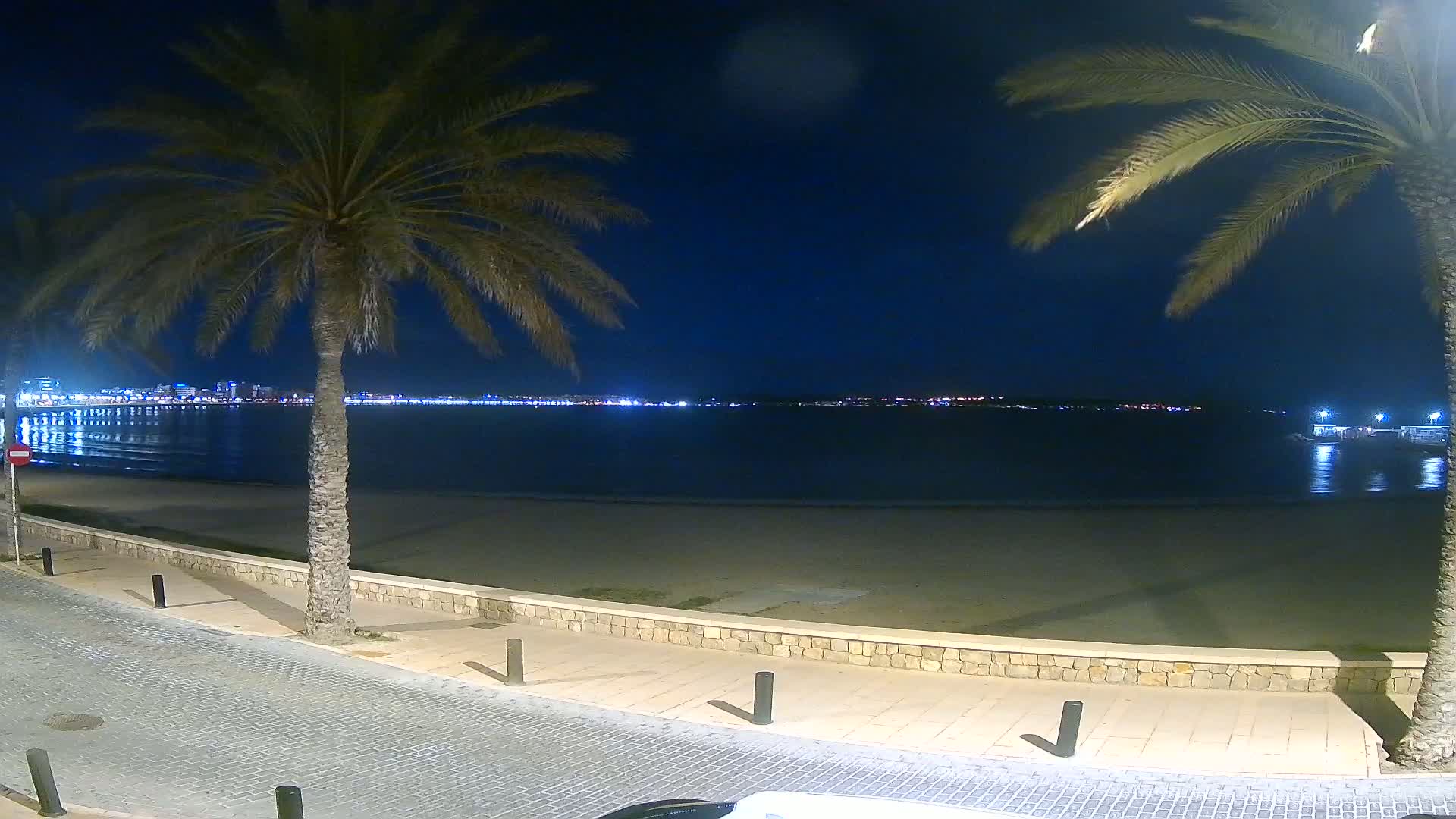 A nighttime view of a sandy beach with palm trees, a stone walkway, and a city skyline illuminated across the water.