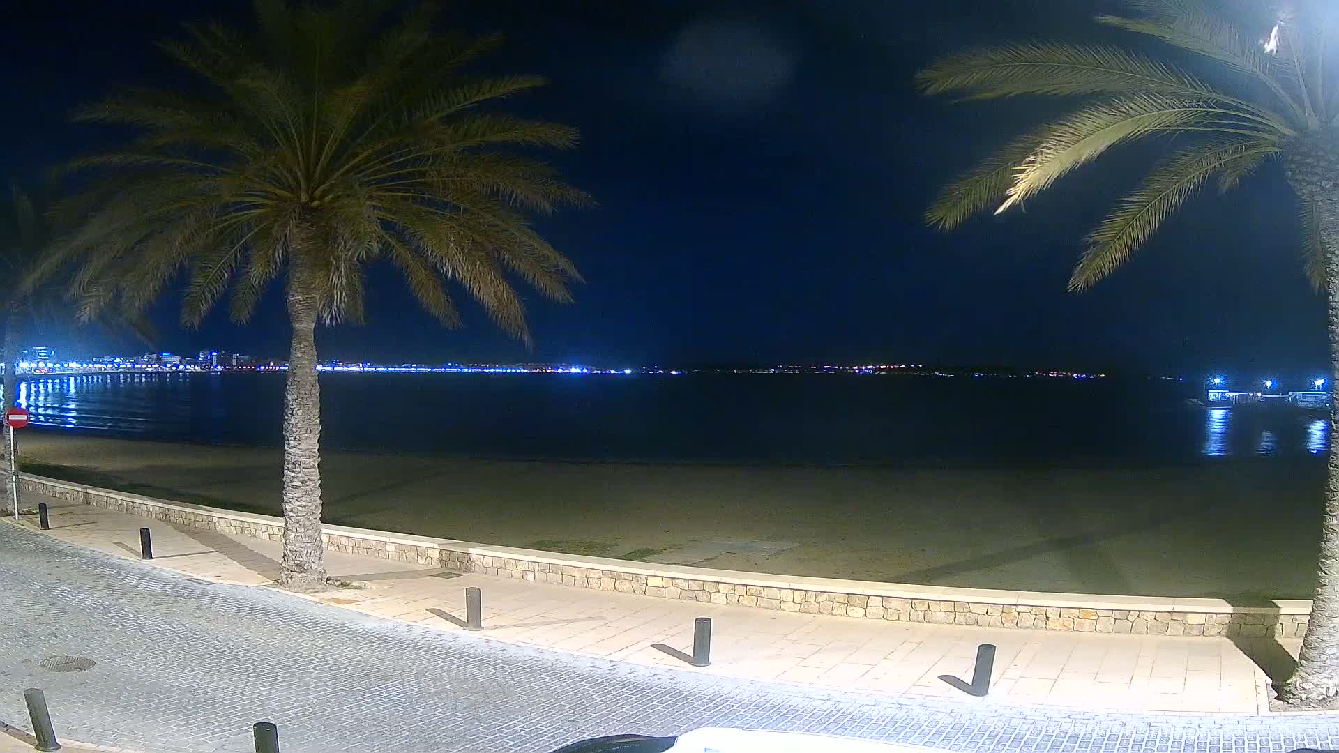 A nighttime view of a calm beach with palm trees lining a paved walkway, overlooking a city skyline across the water.