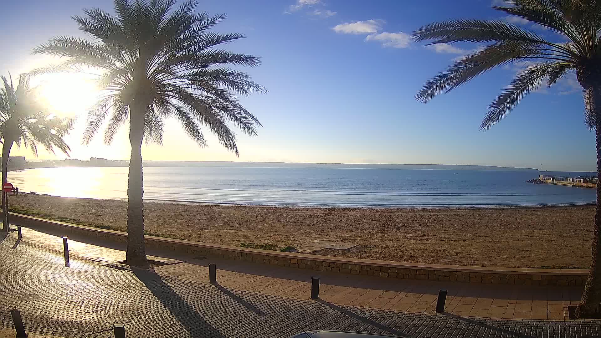 A sandy beach with calm water and a clear blue sky, framed by two palm trees on a sunny morning.