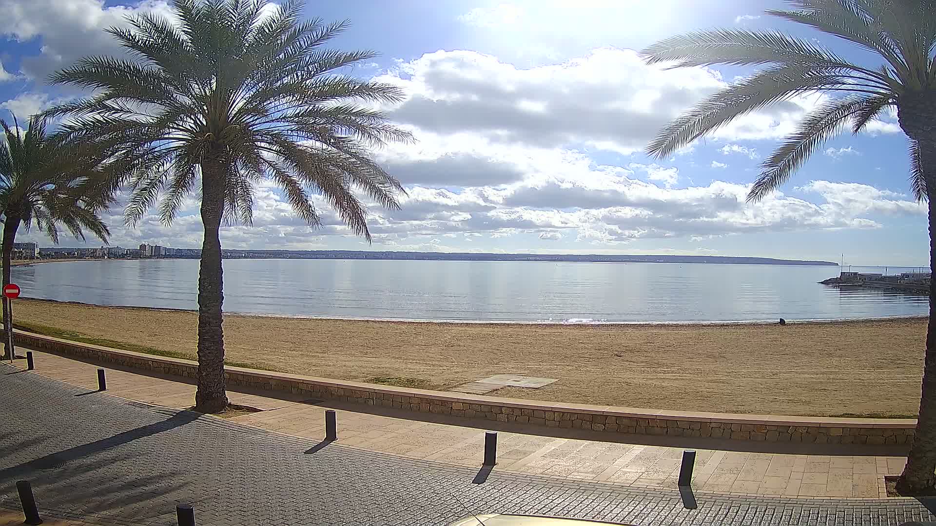 A sandy beach with calm water and a partly cloudy sky is seen from a paved walkway lined with palm trees.