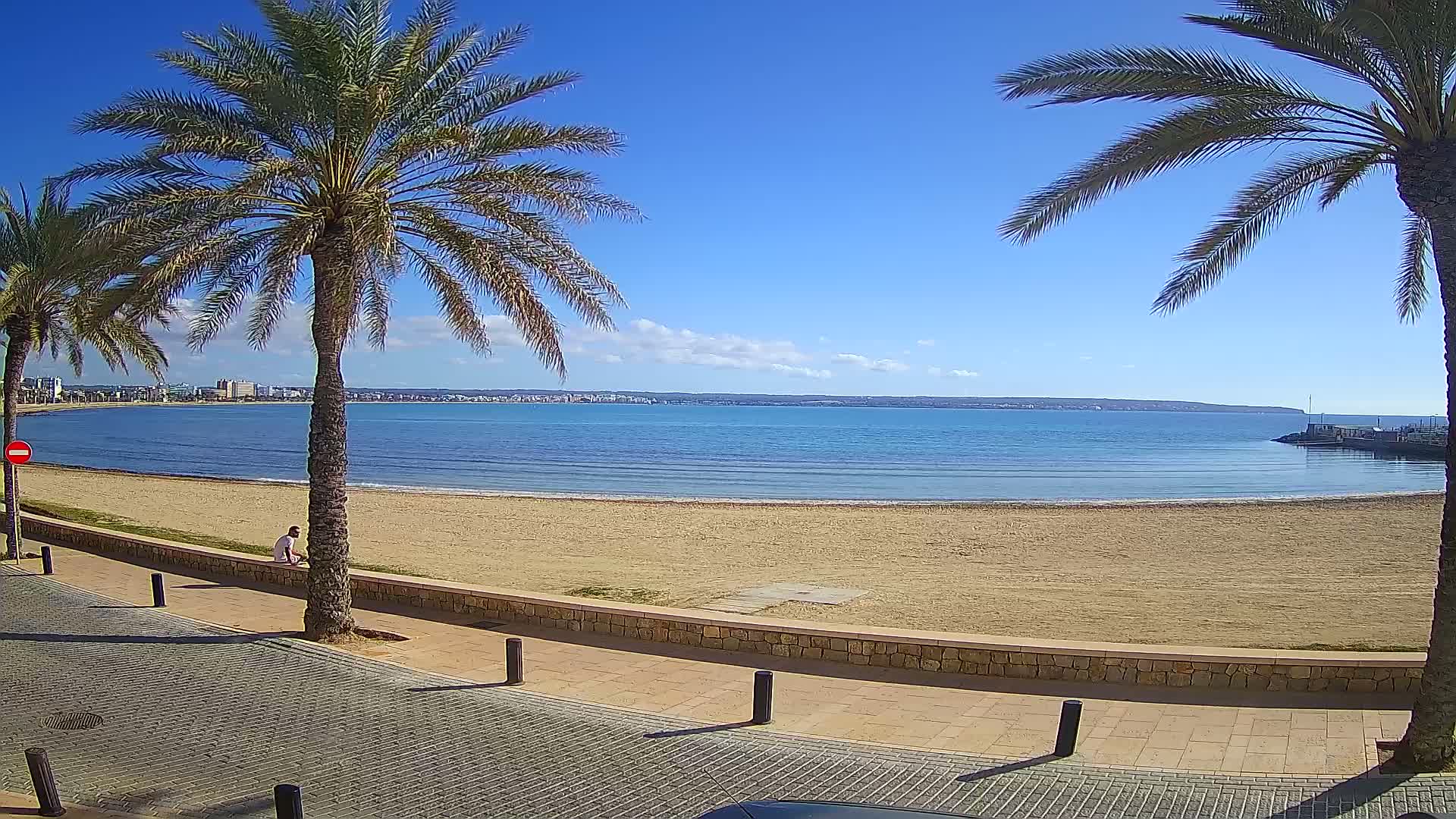 A sandy beach with palm trees lines a paved walkway overlooking a calm, blue ocean on a sunny day.
