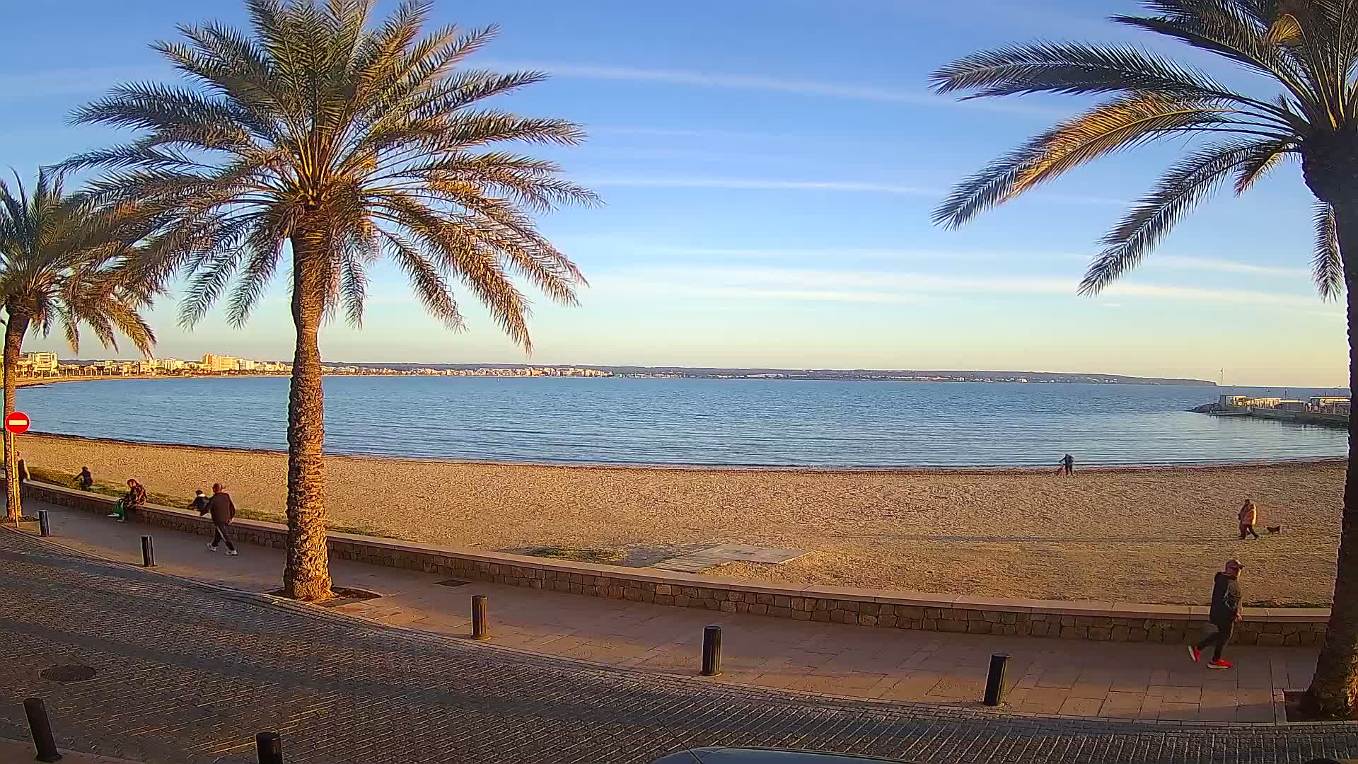 A sandy beach with calm water stretches out under a clear blue sky, bordered by palm trees and a paved walkway with a few pedestrians.