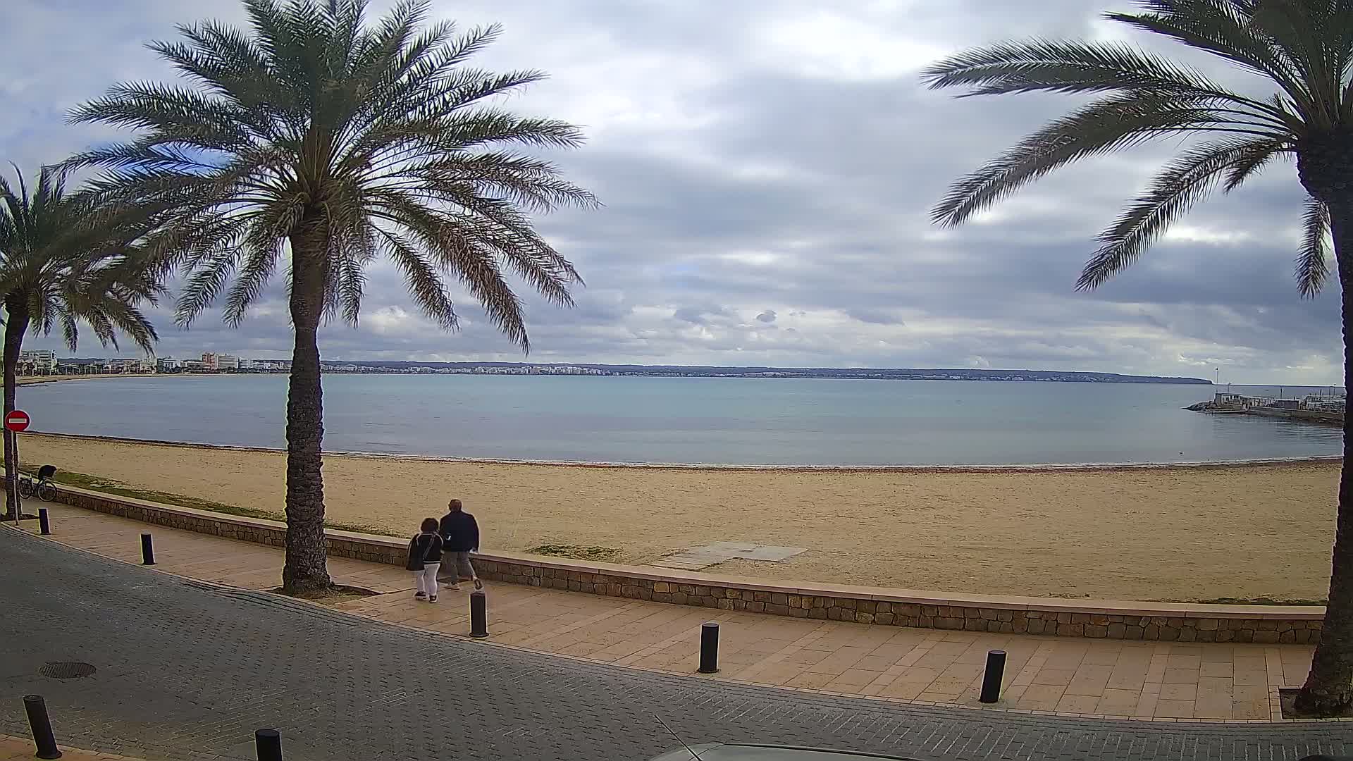 A sandy beach with calm, light-blue water under a cloudy sky is bordered by a paved walkway lined with palm trees, where two people are walking.
