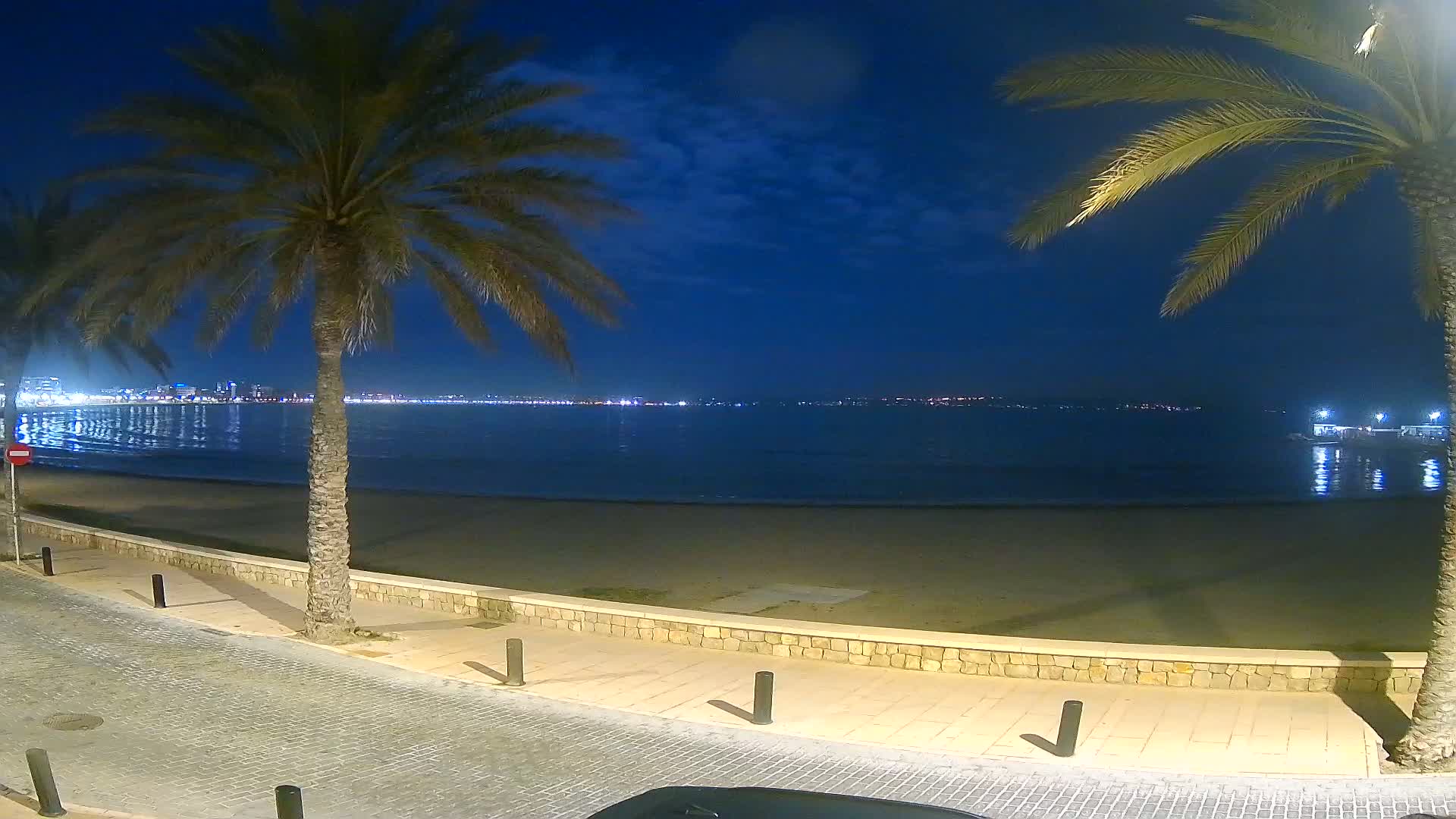 A nighttime view of a sandy beach with palm trees lining a paved walkway, overlooking a calm sea with a city skyline faintly illuminated in the distance under a dark blue, mostly clear sky.