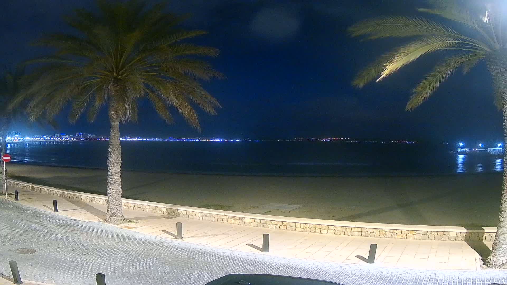 At night, a sandy beach is bordered by palm trees and a paved walkway, overlooking a calm sea with a distant city skyline illuminated.