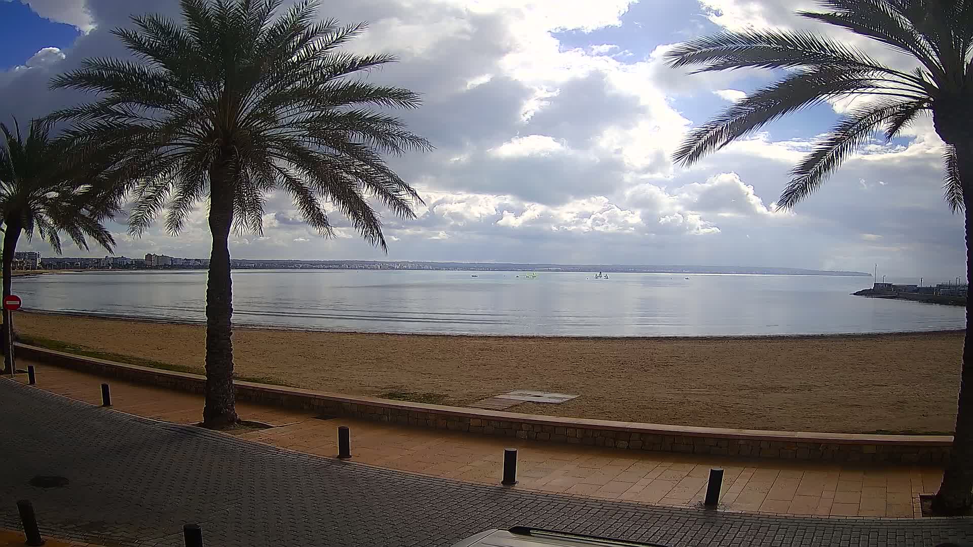 A sandy beach with palm trees lining a paved walkway overlooks a calm, partially cloudy sea.