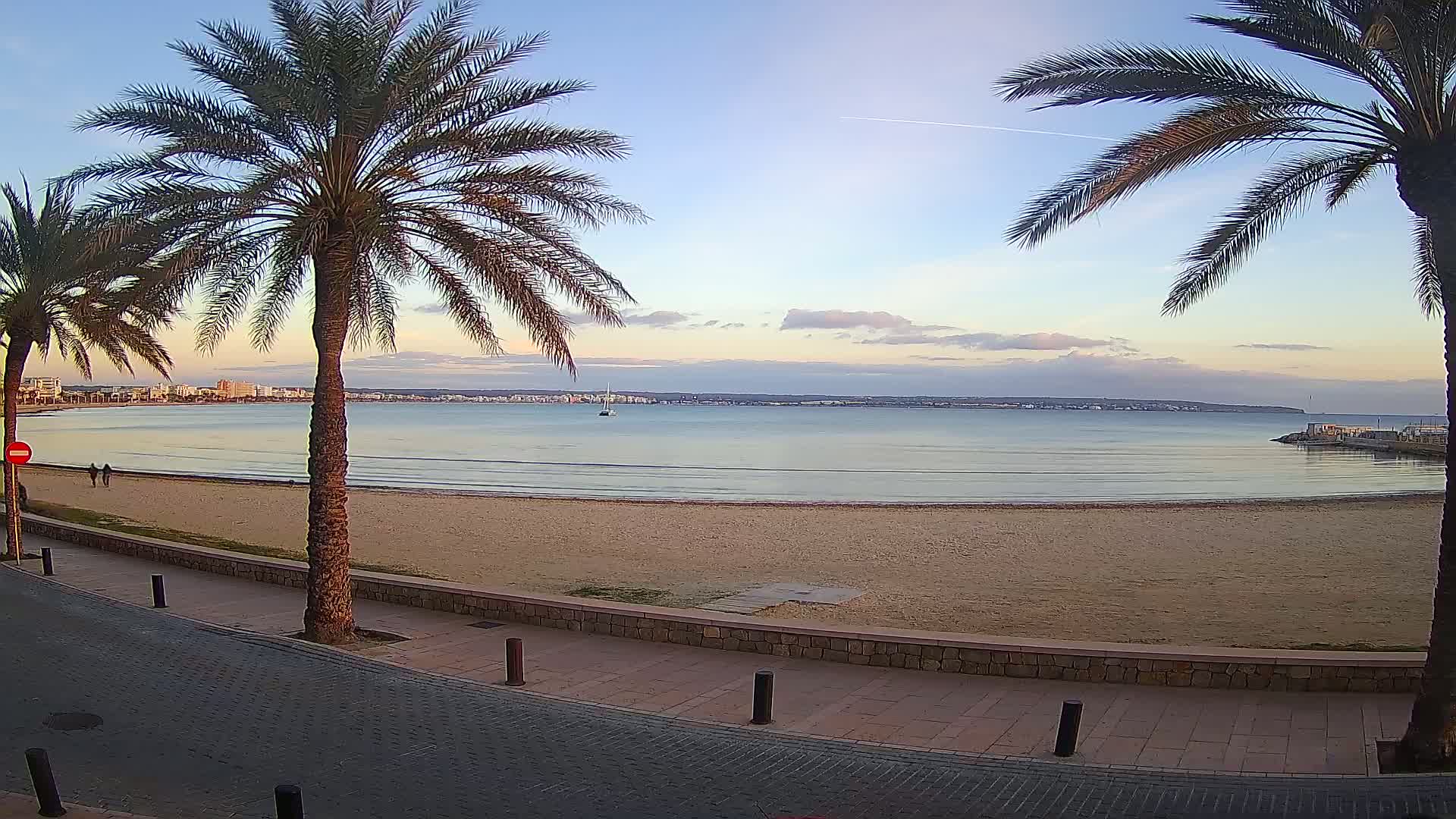 A sandy beach with calm water stretches out to a distant shoreline under a mostly clear, twilight sky; two palm trees frame the scene.