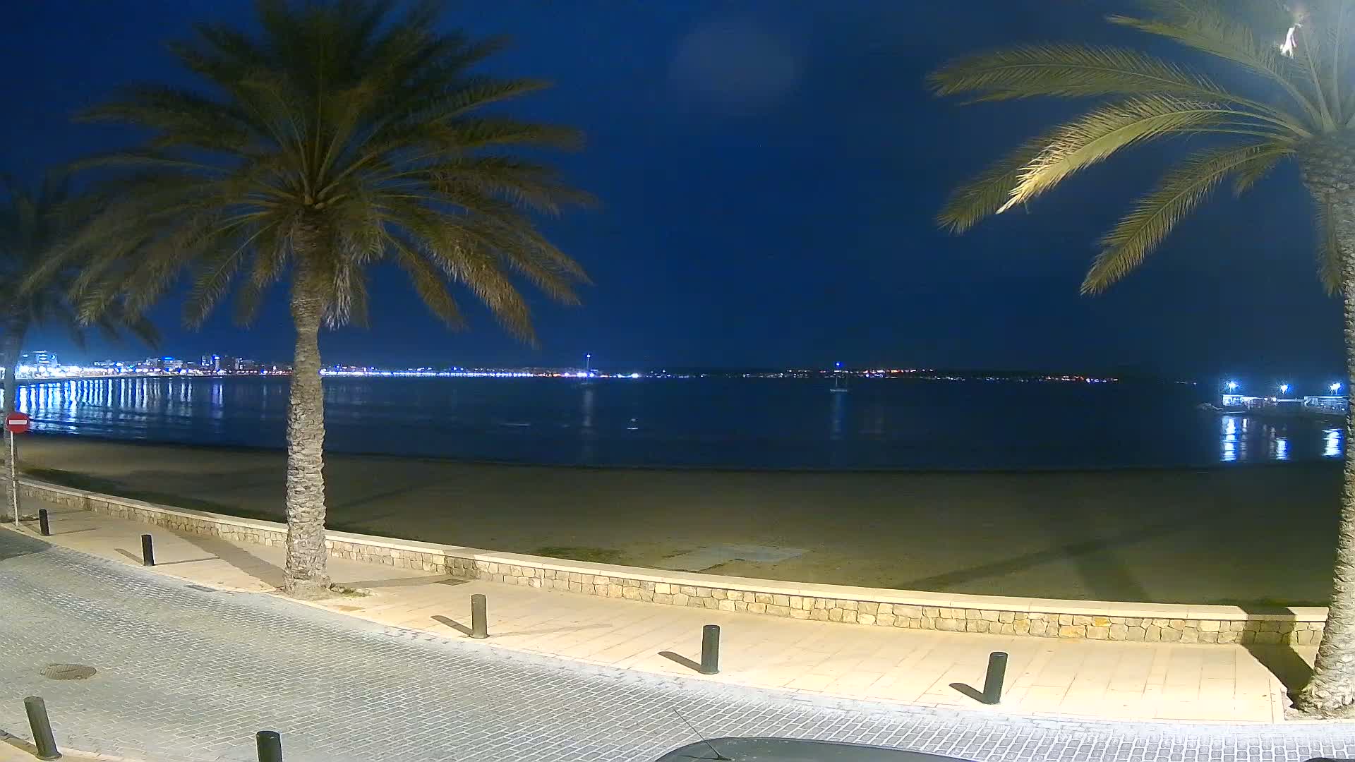 A calm, dark-blue night scene shows a sandy beach bordered by palm trees and a paved walkway, overlooking a city skyline across a body of water.