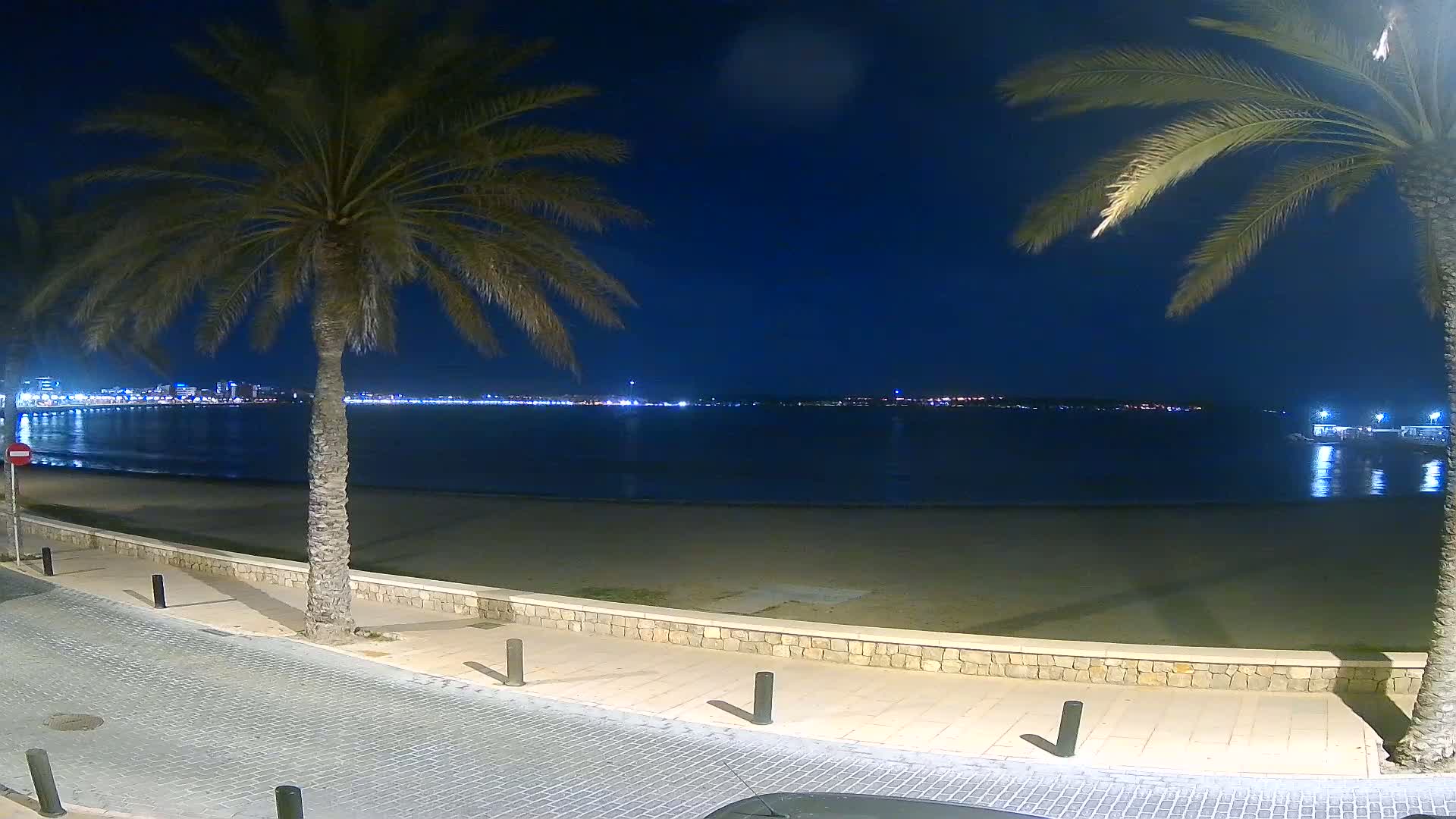 At night, a sandy beach bordered by palm trees and a stone walkway overlooks a calm, dark-blue body of water with a city skyline faintly lit in the distance.