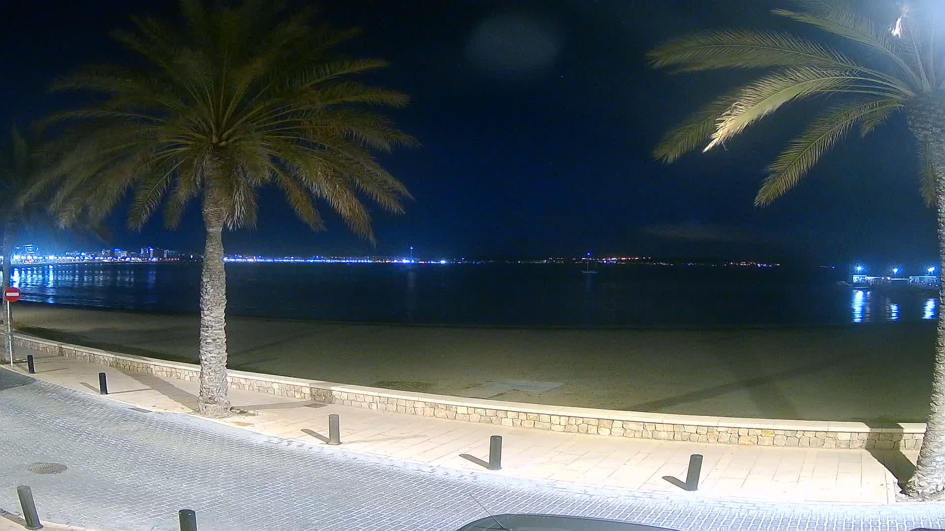 At night, a sandy beach and paved walkway are lined with palm trees overlooking a calm body of water with city lights across the way.