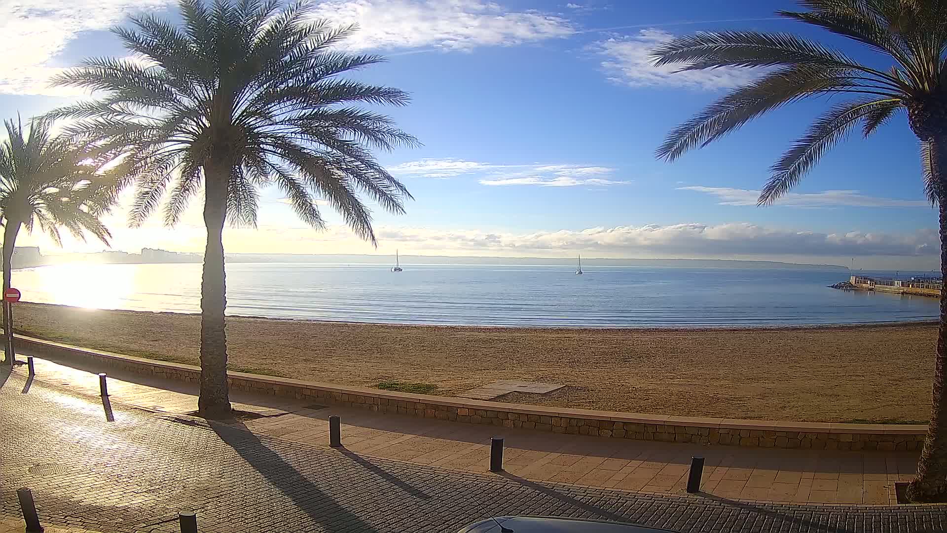 A sandy beach with calm water and two palm trees framing a view of a partly cloudy, sunny day.