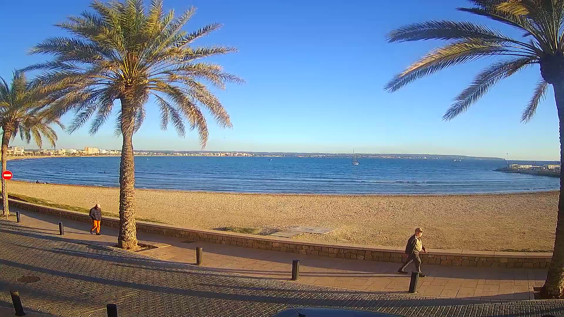 A sandy beach with calm blue water stretches out under a clear blue sky, bordered by palm trees and a paved walkway where people stroll.