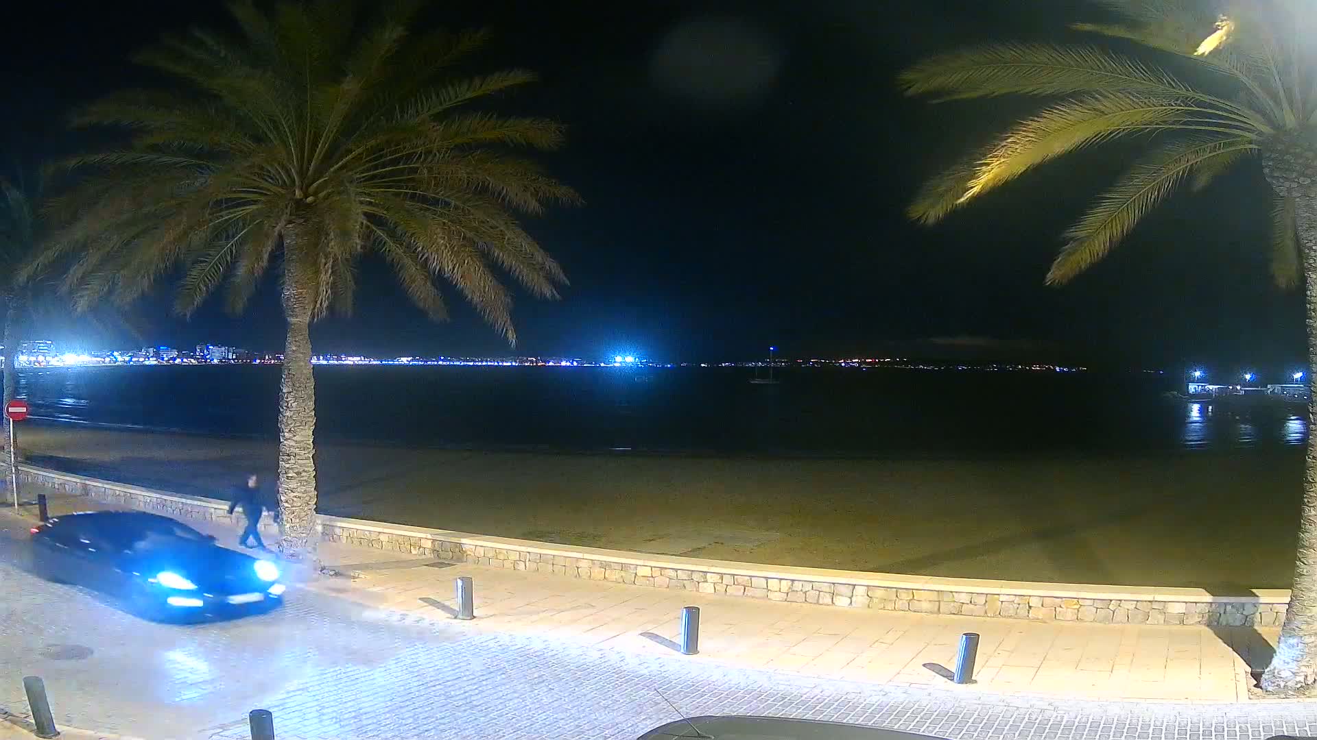 A dark-colored car is driving along a paved walkway next to a sandy beach at night, with palm trees in the foreground and a brightly lit city across the water.