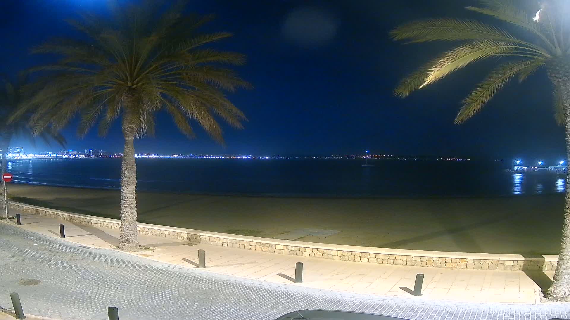 A nighttime view of a sandy beach, palm trees, and a city skyline across a calm body of water.