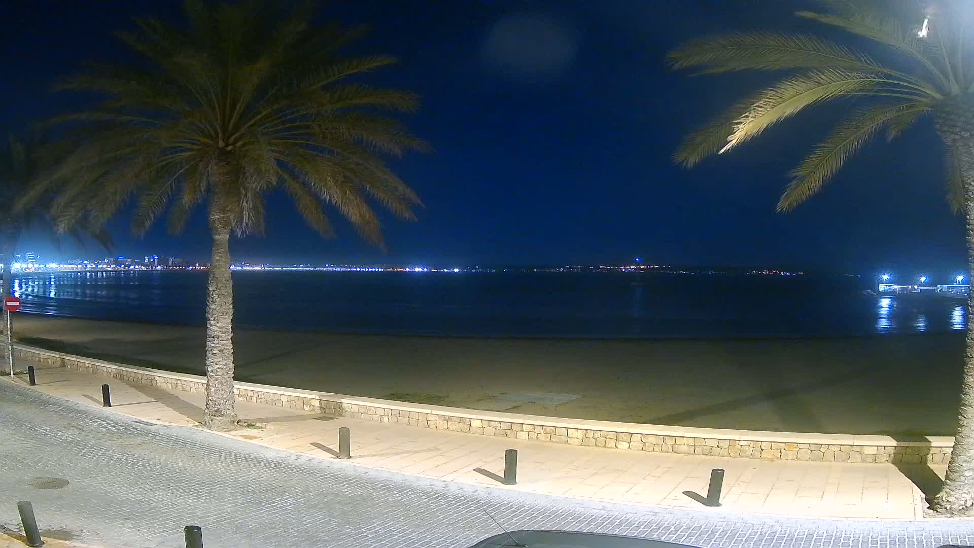 A nighttime view of a calm, dark-blue ocean beach with palm trees lining a paved walkway, and a city skyline faintly visible in the distance.