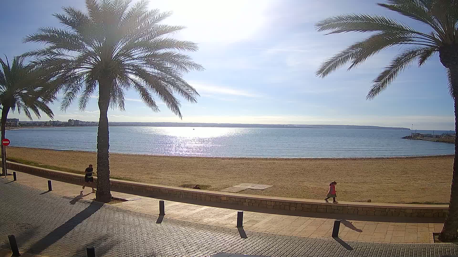A sandy beach with calm water and a sunny sky is viewed from a paved walkway lined with palm trees, and two people are walking along the beach.