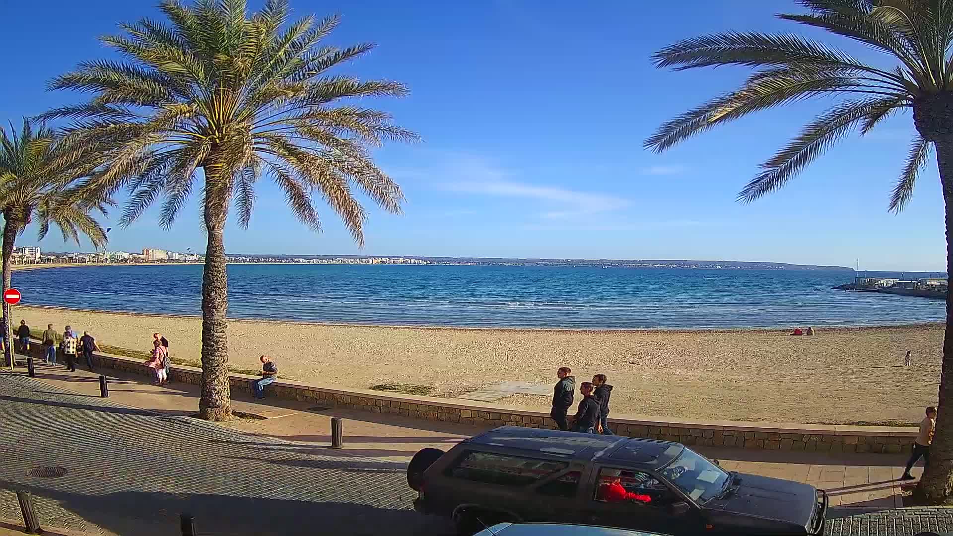 A sandy beach with calm ocean waves stretches beneath a clear blue sky, palm trees line a paved walkway overlooking the scene, where several people stroll and sit.