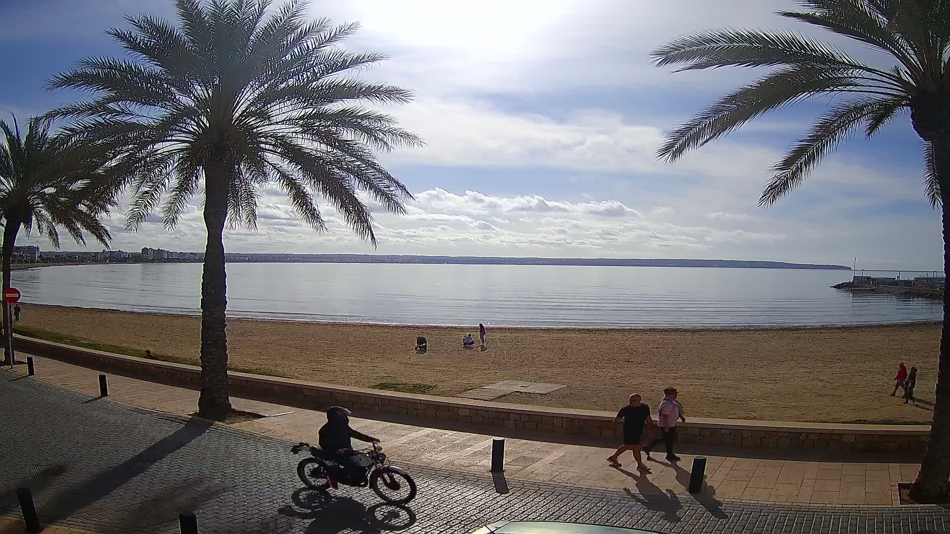 A person rides a motorcycle along a paved path next to a sandy beach, palm trees, and calm ocean water under a mostly sunny sky.