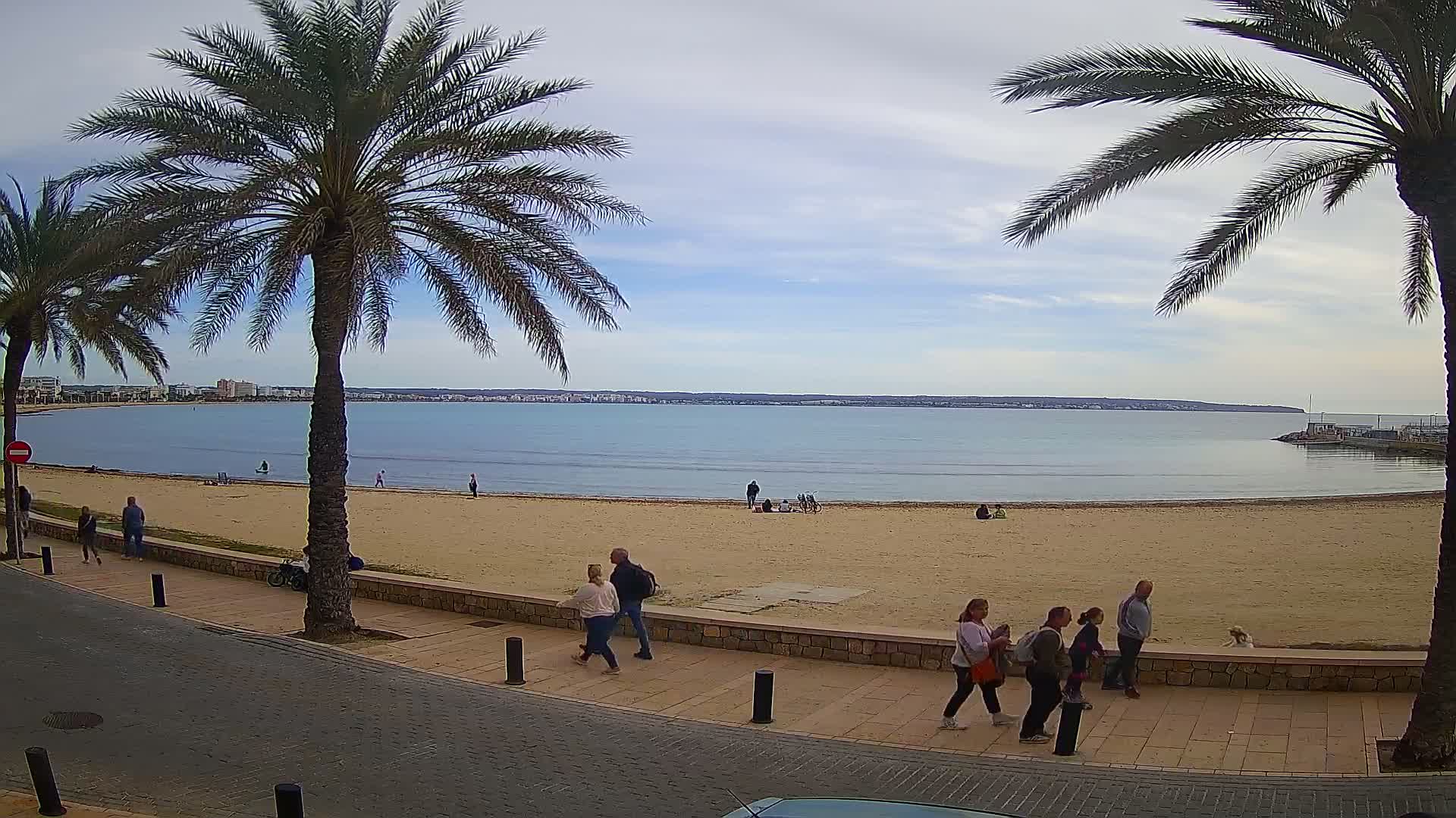 A sandy beach with calm water stretches before a paved walkway lined with palm trees, where several people stroll under a partly cloudy sky.